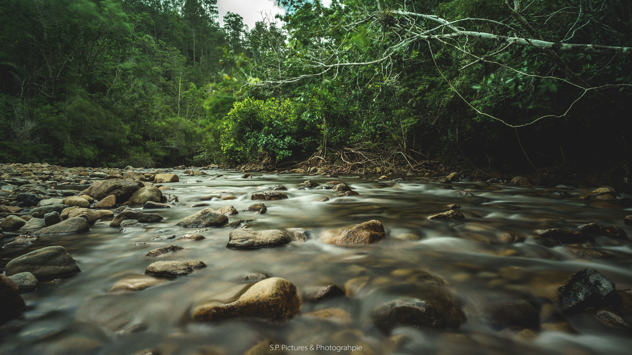 E 21mm F2.8 sample photo. Humboldt national park photography