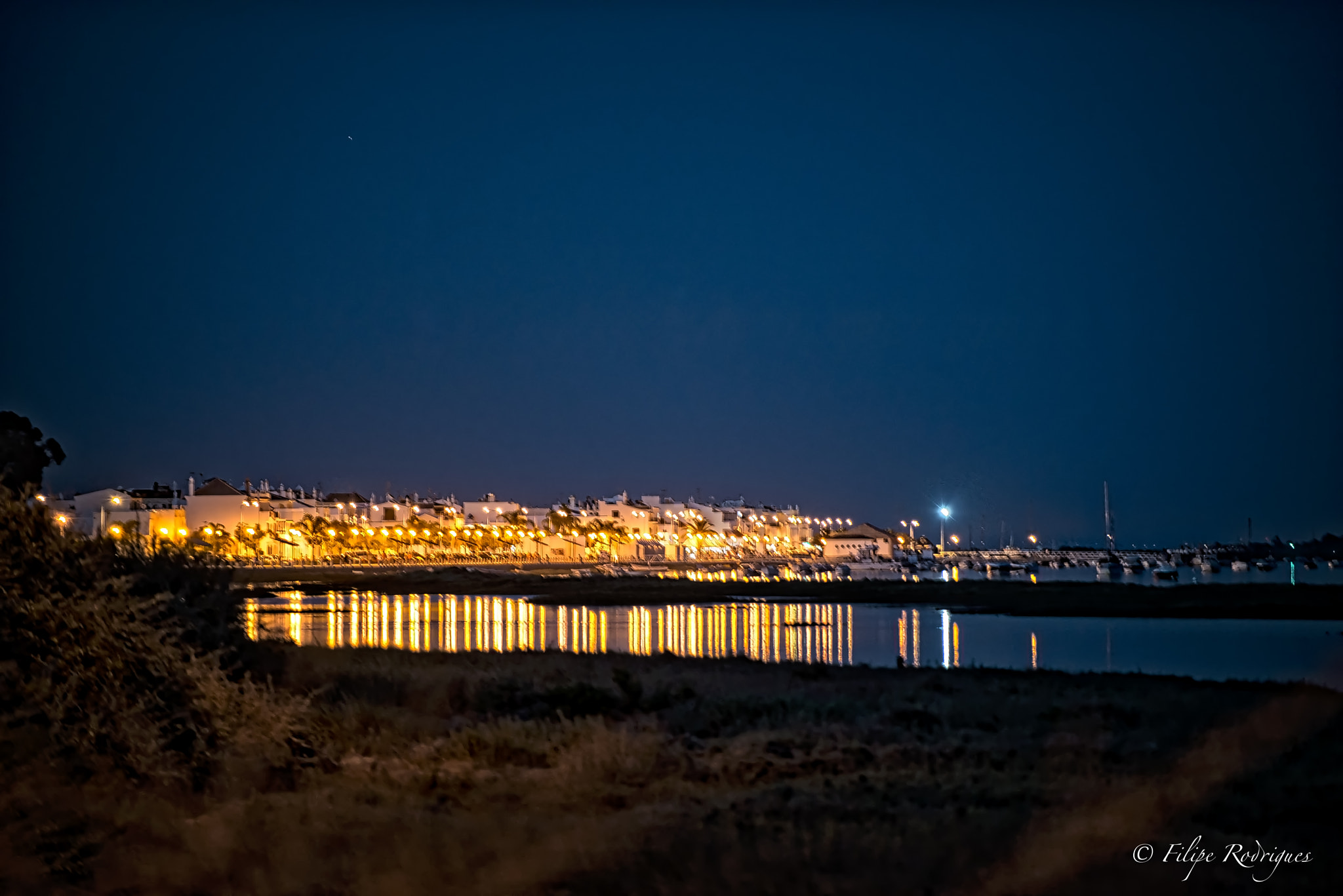 Nikon D800E sample photo. Lone star photography