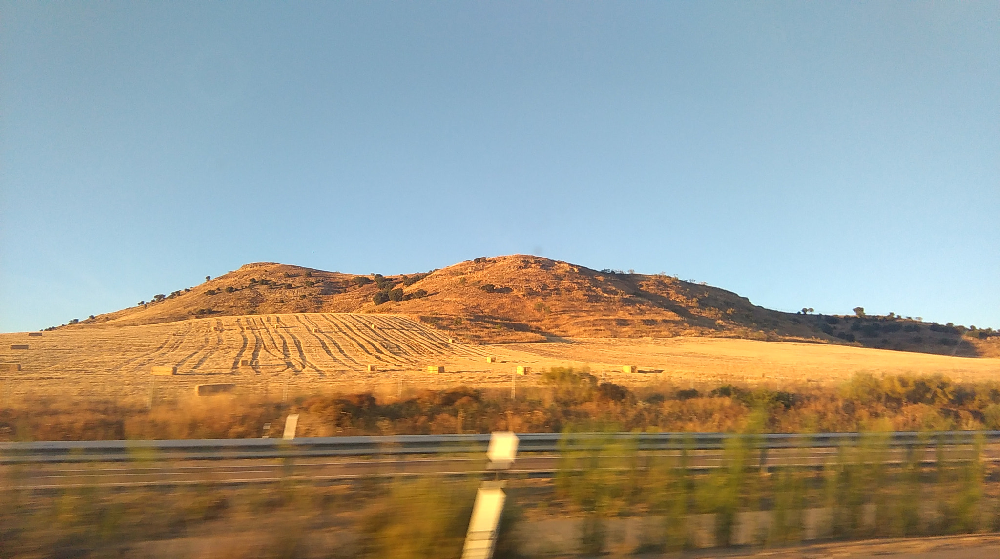 HTC DESIRE 620 sample photo. Sunny paradise. photography