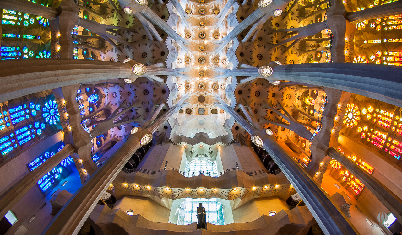 Nikon D500 + Samyang 8mm F3.5 Aspherical IF MC Fisheye sample photo. Sagrada familia photography