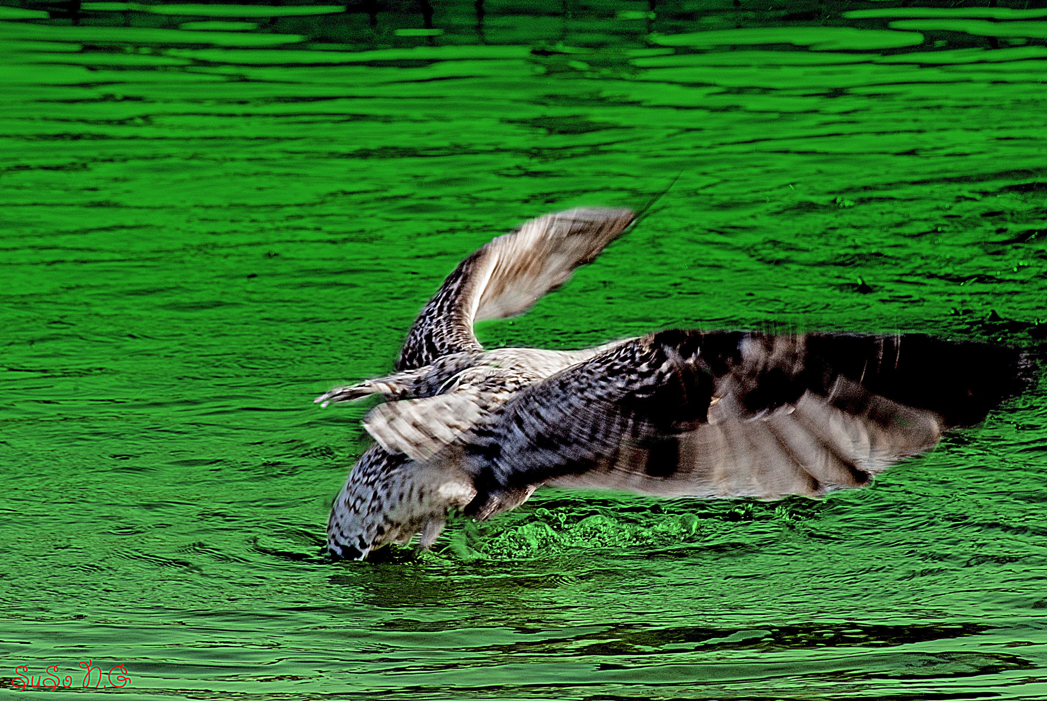 Nikon D3000 sample photo. Estiramientos photography
