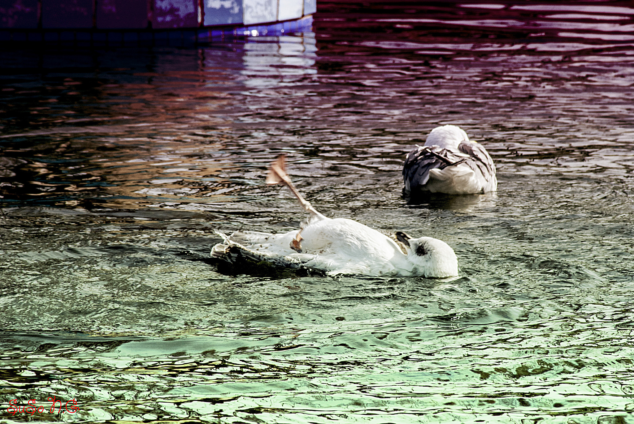 Nikon D3000 sample photo. El baño photography