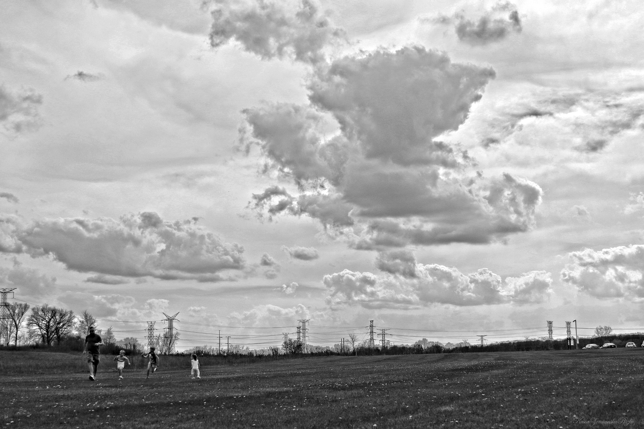 Canon EF 28-135mm F3.5-5.6 IS USM sample photo. Follow the leader photography