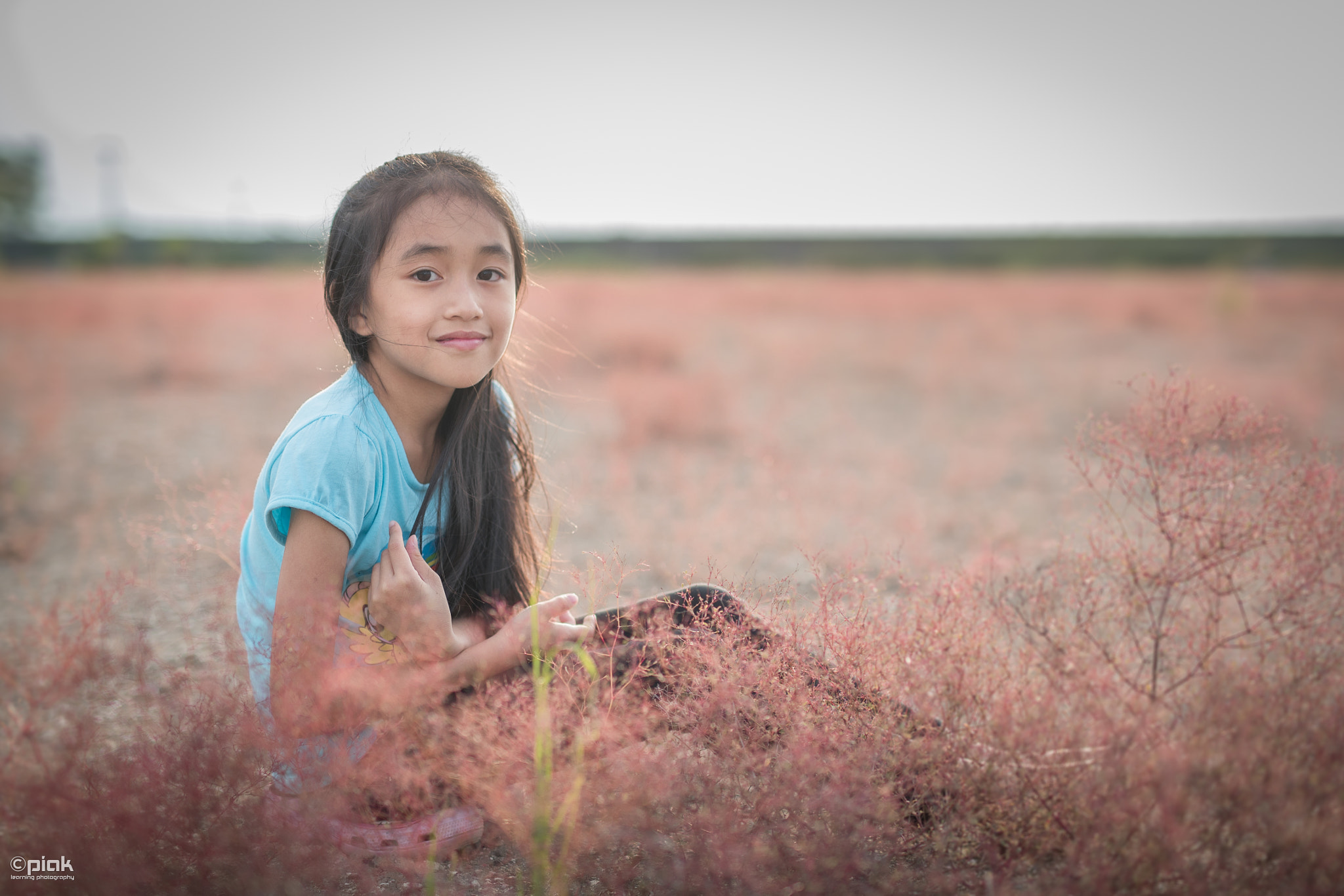 Sigma 50mm F1.4 EX DG HSM sample photo. Red grass photography