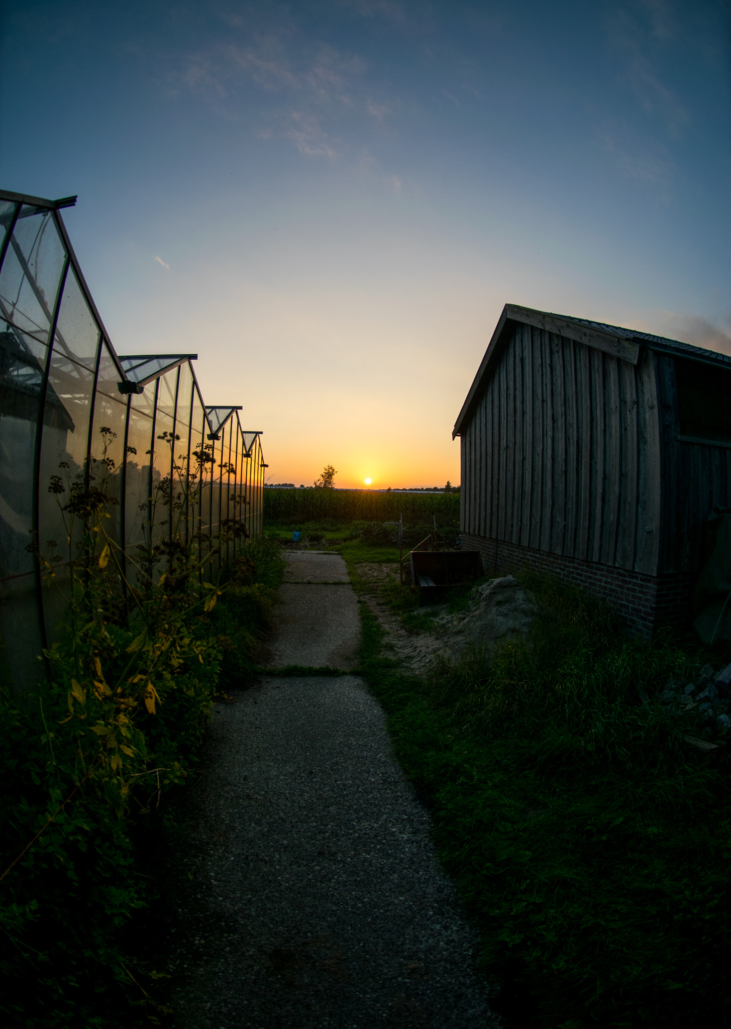 Nikon AF DX Fisheye-Nikkor 10.5mm F2.8G ED sample photo. Explore photography