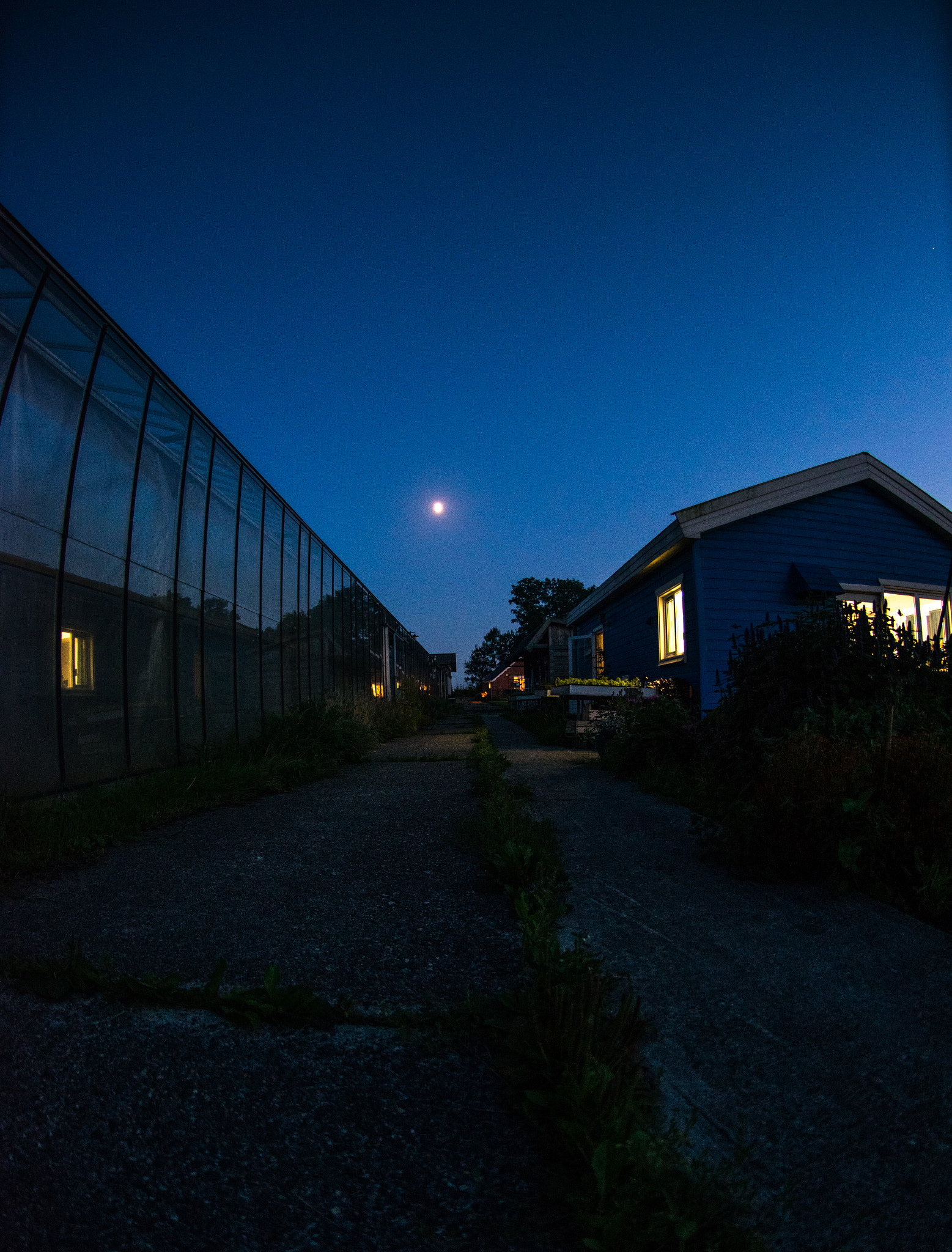 Nikon AF DX Fisheye-Nikkor 10.5mm F2.8G ED sample photo. Shelter photography