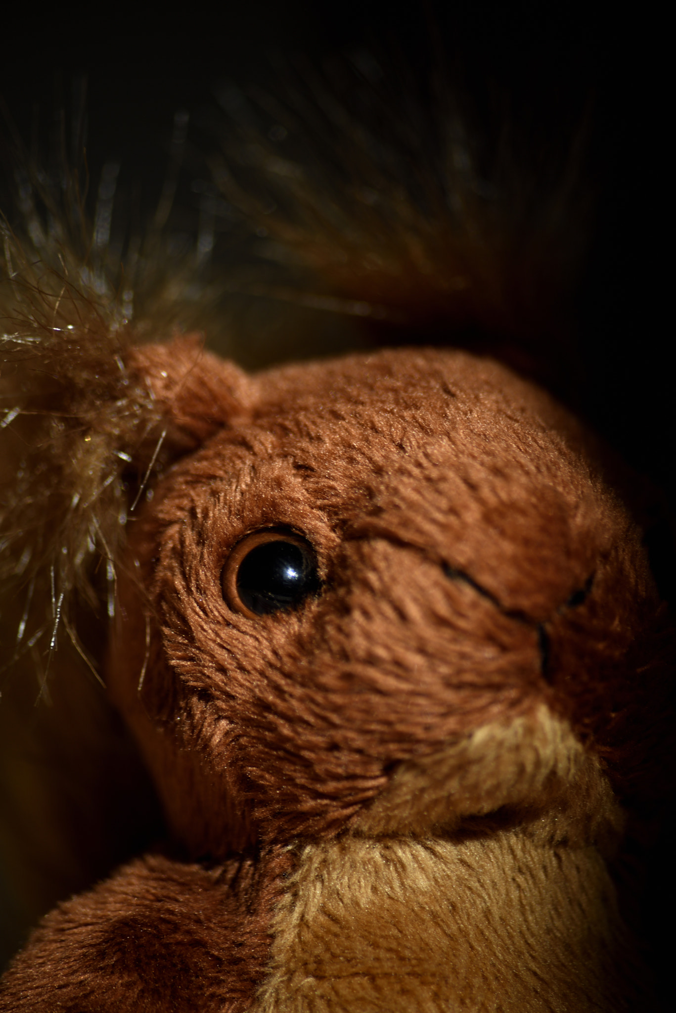 Sigma 70-300mm F4-5.6 APO Macro Super II sample photo. Toy portrait squirrel photography