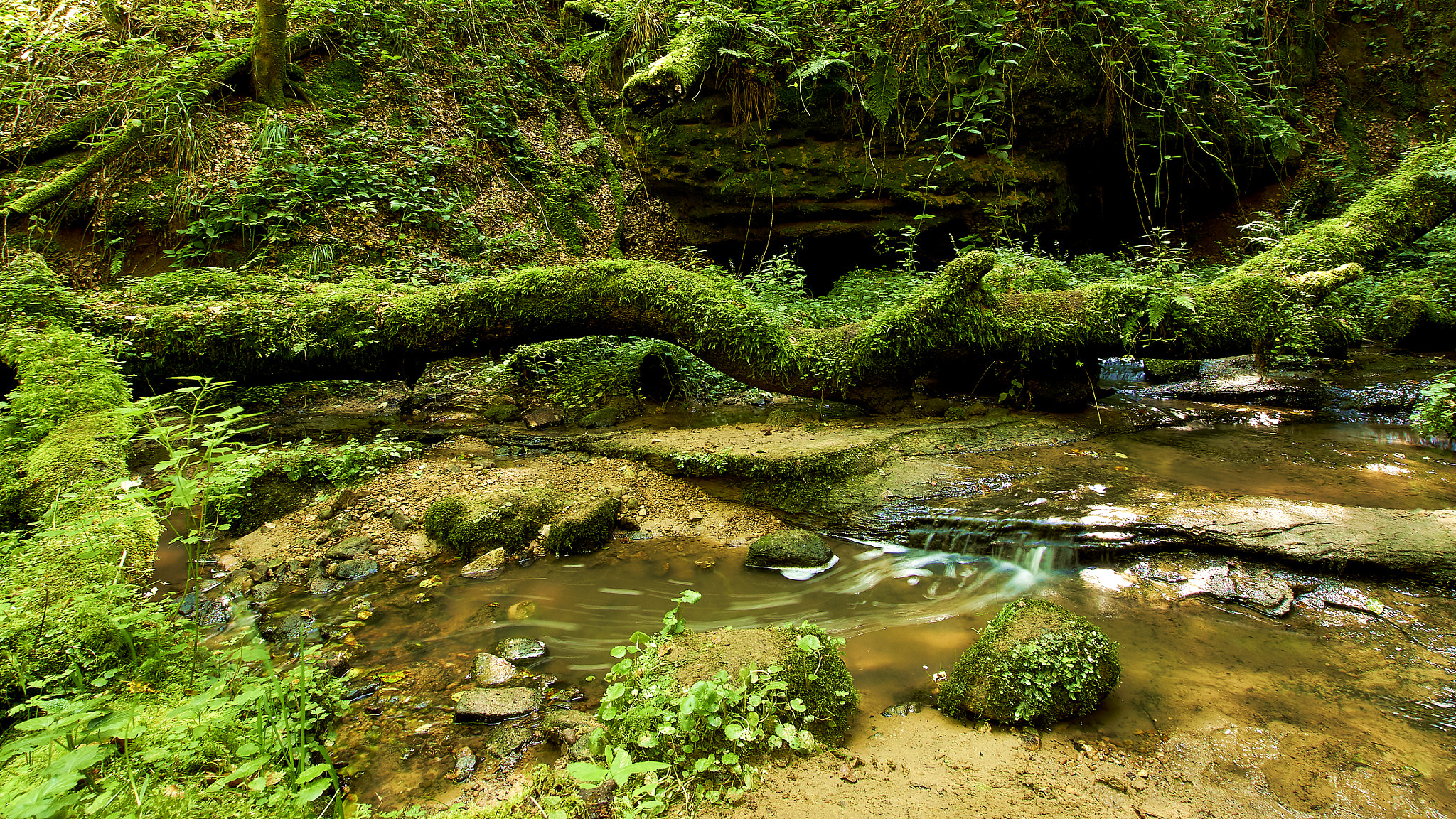 Sony ILCA-77M2 + 10-20mm F3.5 sample photo. Mullerthal trail photography