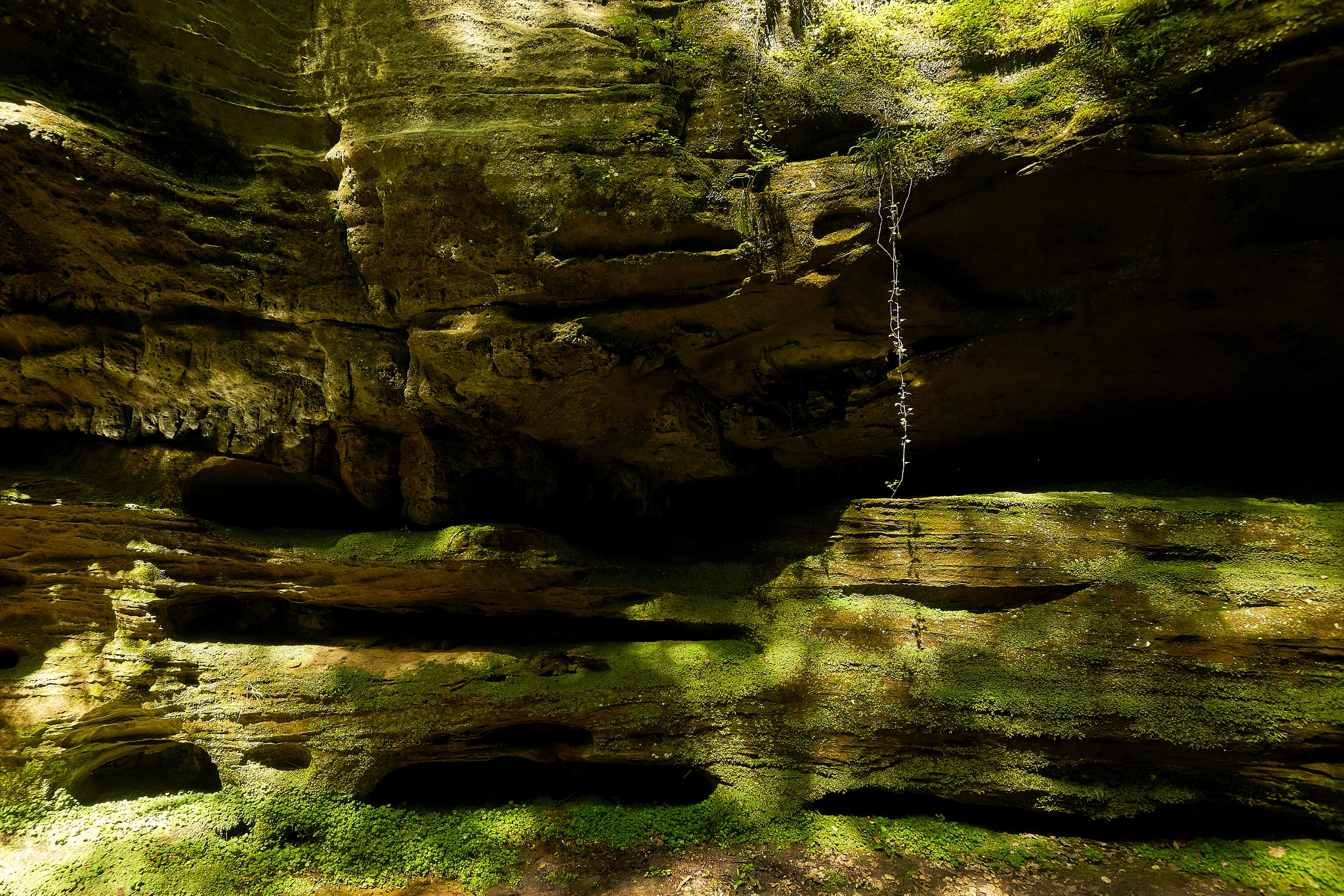Sony ILCA-77M2 + 10-20mm F3.5 sample photo. Mullerthal trail photography