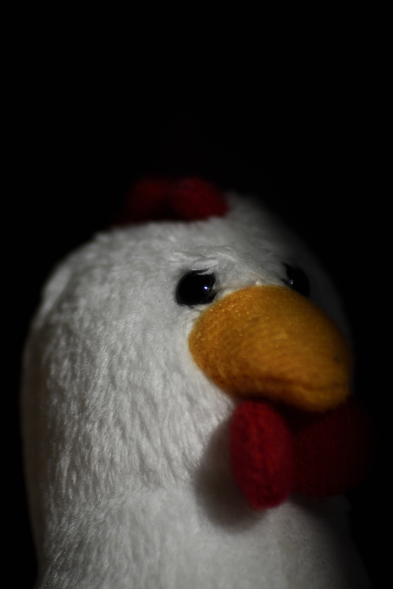 Sigma 70-300mm F4-5.6 APO Macro Super II sample photo. Toy portrait stuffed chicken photography
