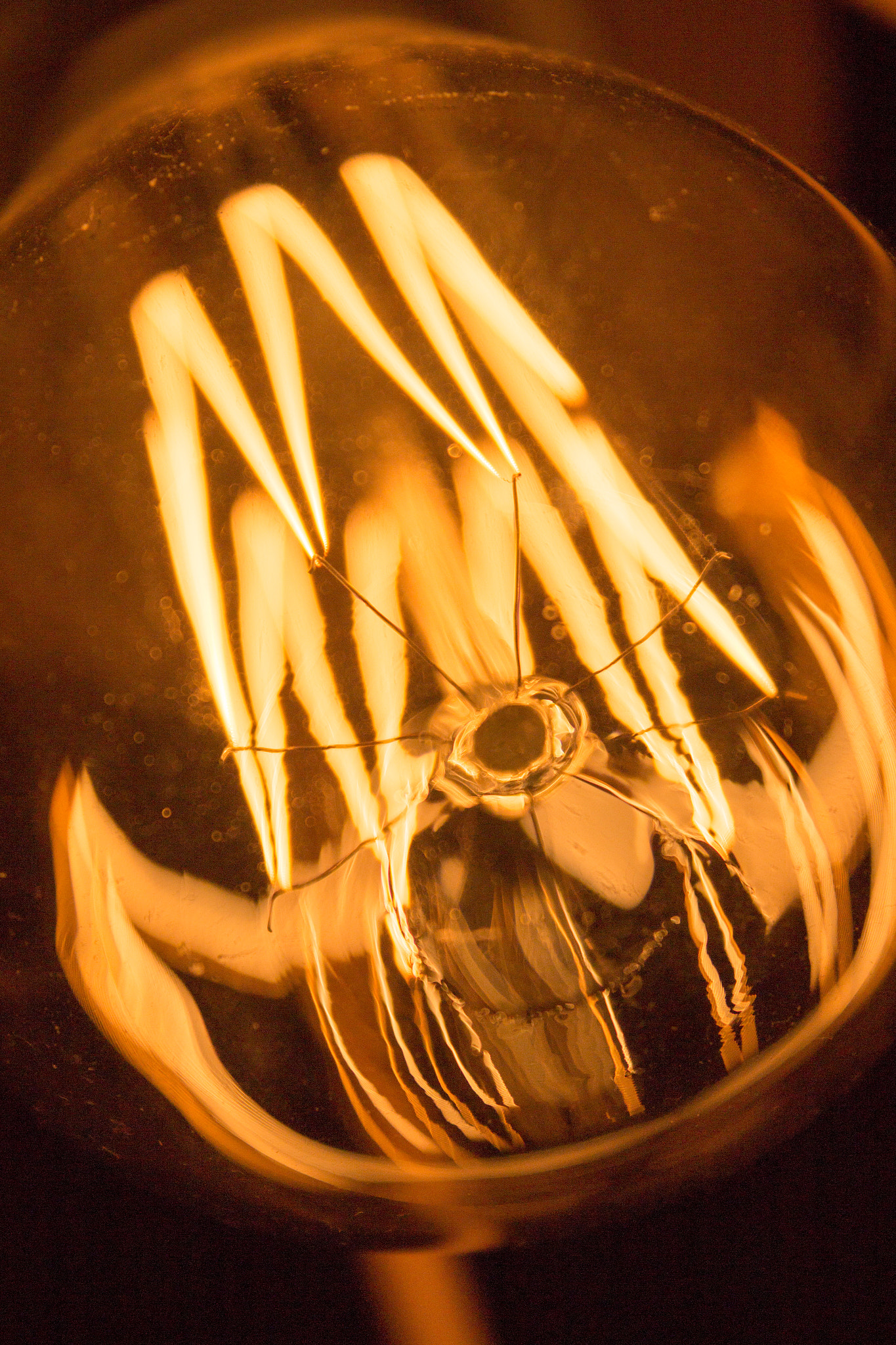 Canon EOS 100D (EOS Rebel SL1 / EOS Kiss X7) sample photo. Lightbulb 2 photography