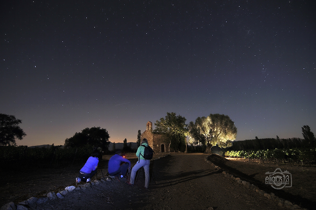 Nikon D300S sample photo. Perseids photography