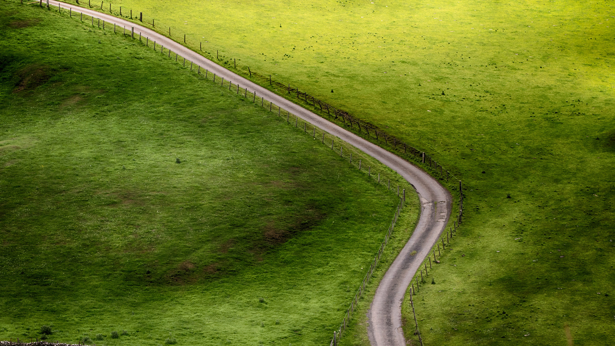 Olympus OM-D E-M5 sample photo. Path in field photography