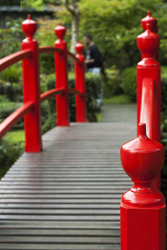 Nikon D70 + Nikon AF Nikkor 50mm F1.8D sample photo. Red! photography