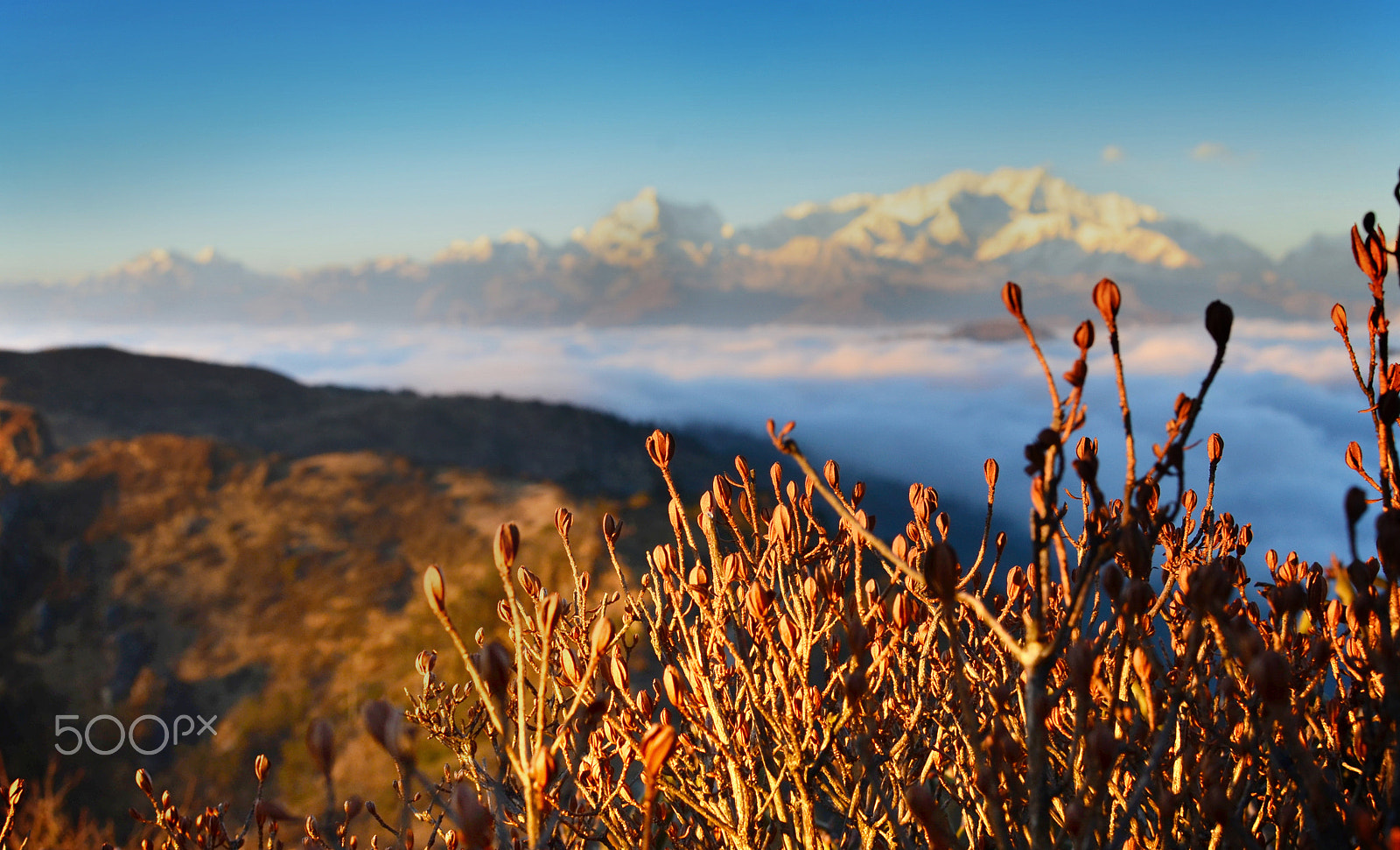 Nikon D7000 + AF Nikkor 20mm f/2.8 sample photo. Golden tinge photography