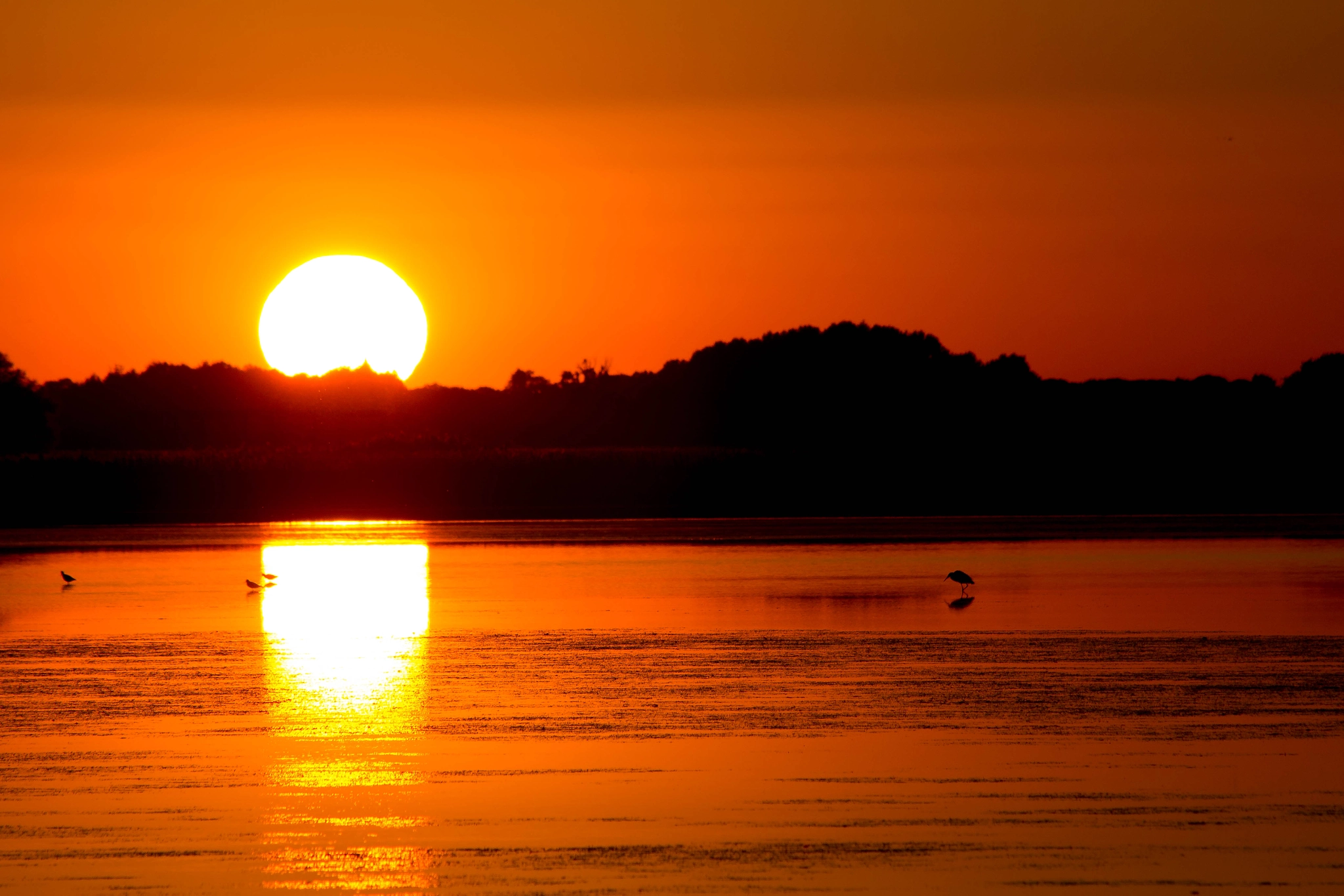 Canon EF 70-300mm F4-5.6 IS USM sample photo. Emotions!!! photography