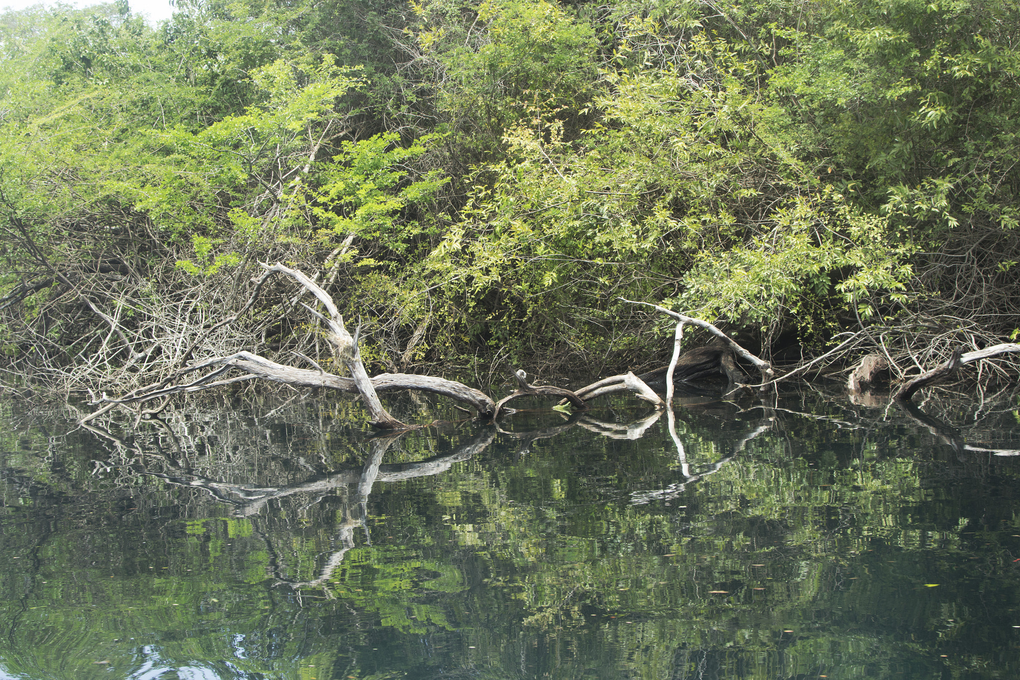 Canon EF 35-135mm f/4-5.6 USM sample photo. Sailing across river la pasión during a weekend trip to petén photography