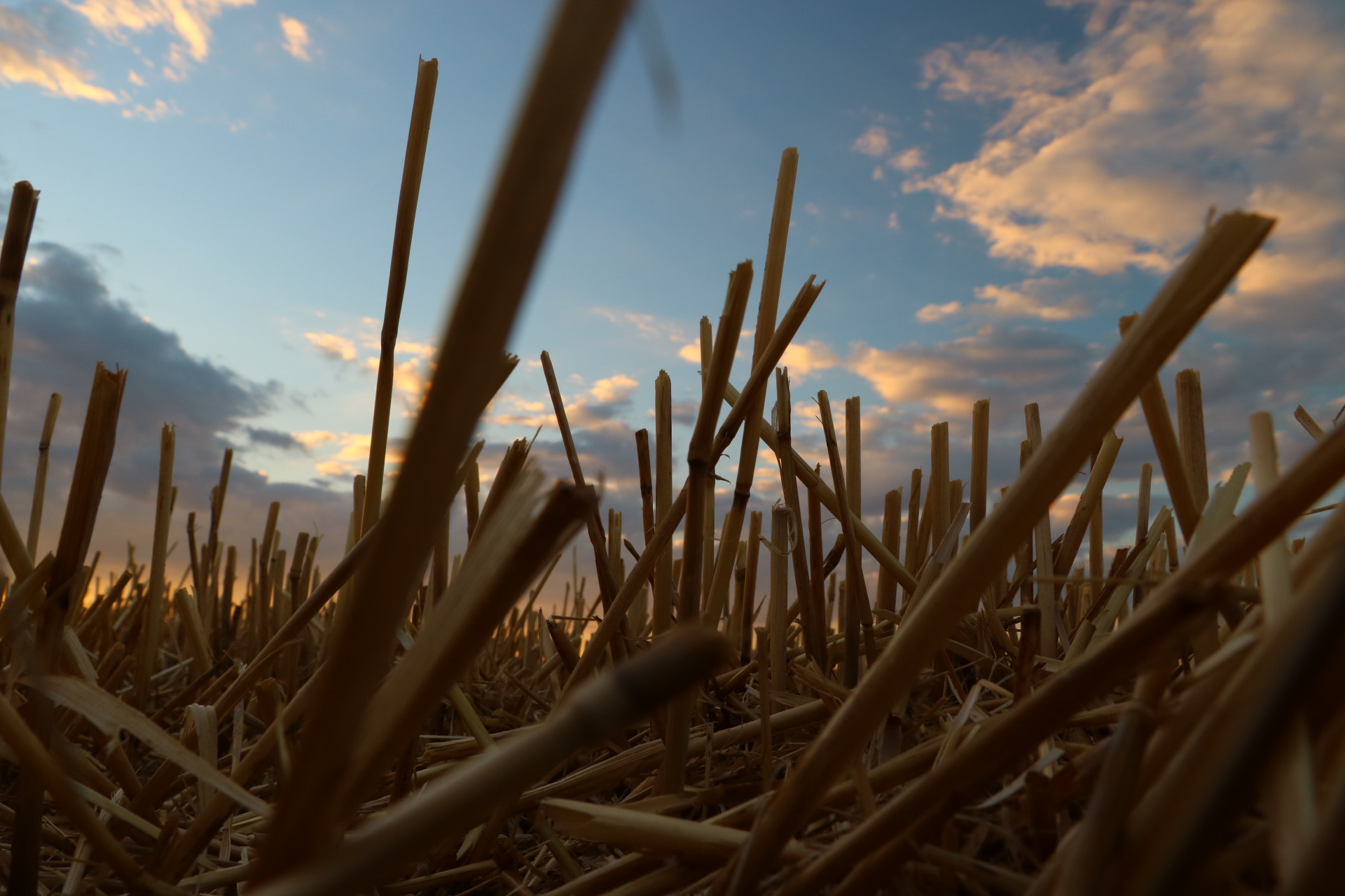 Canon EOS 750D (EOS Rebel T6i / EOS Kiss X8i) sample photo. Sunset  photography