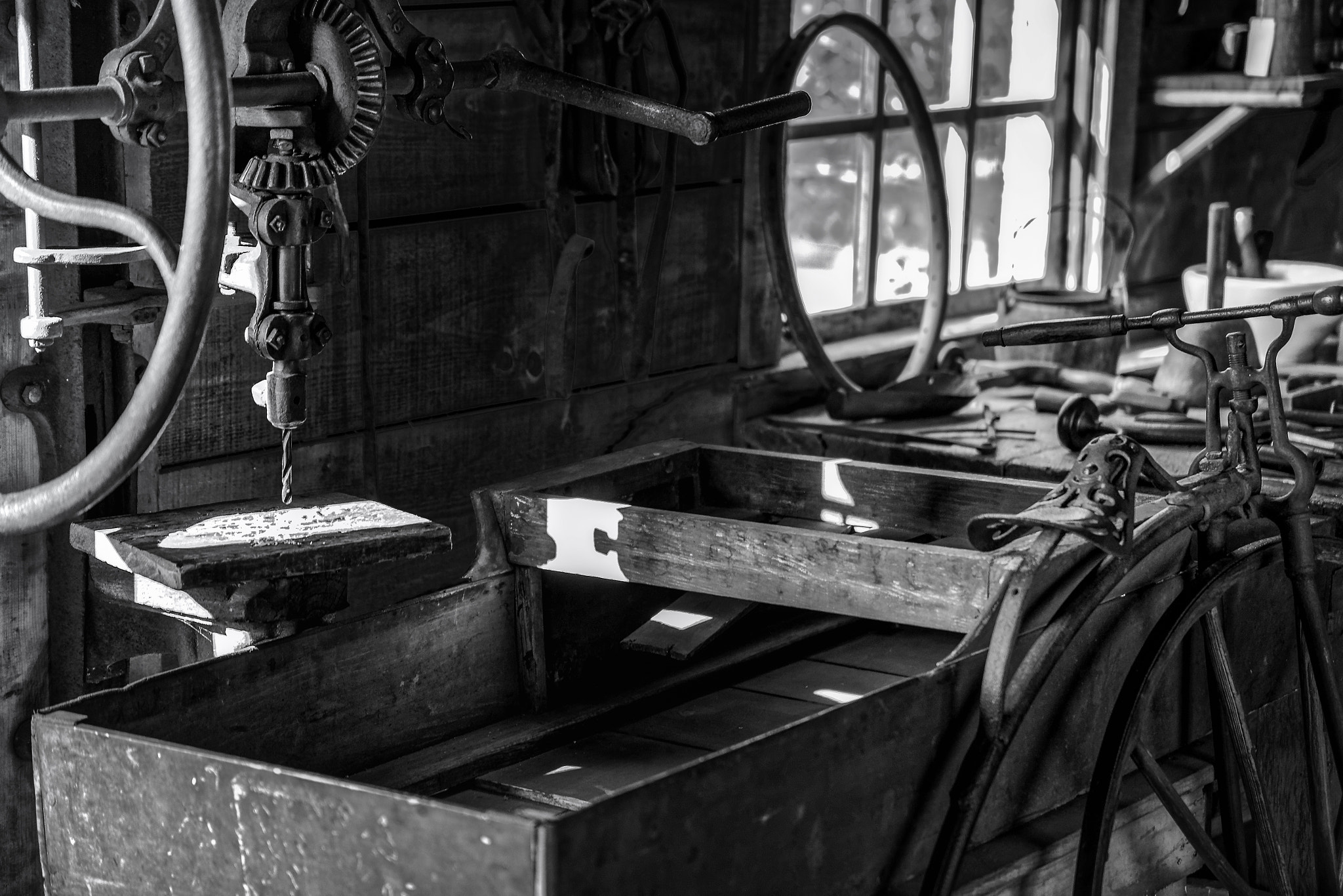 Canon 70.0-200.0 mm sample photo. Workshop photography