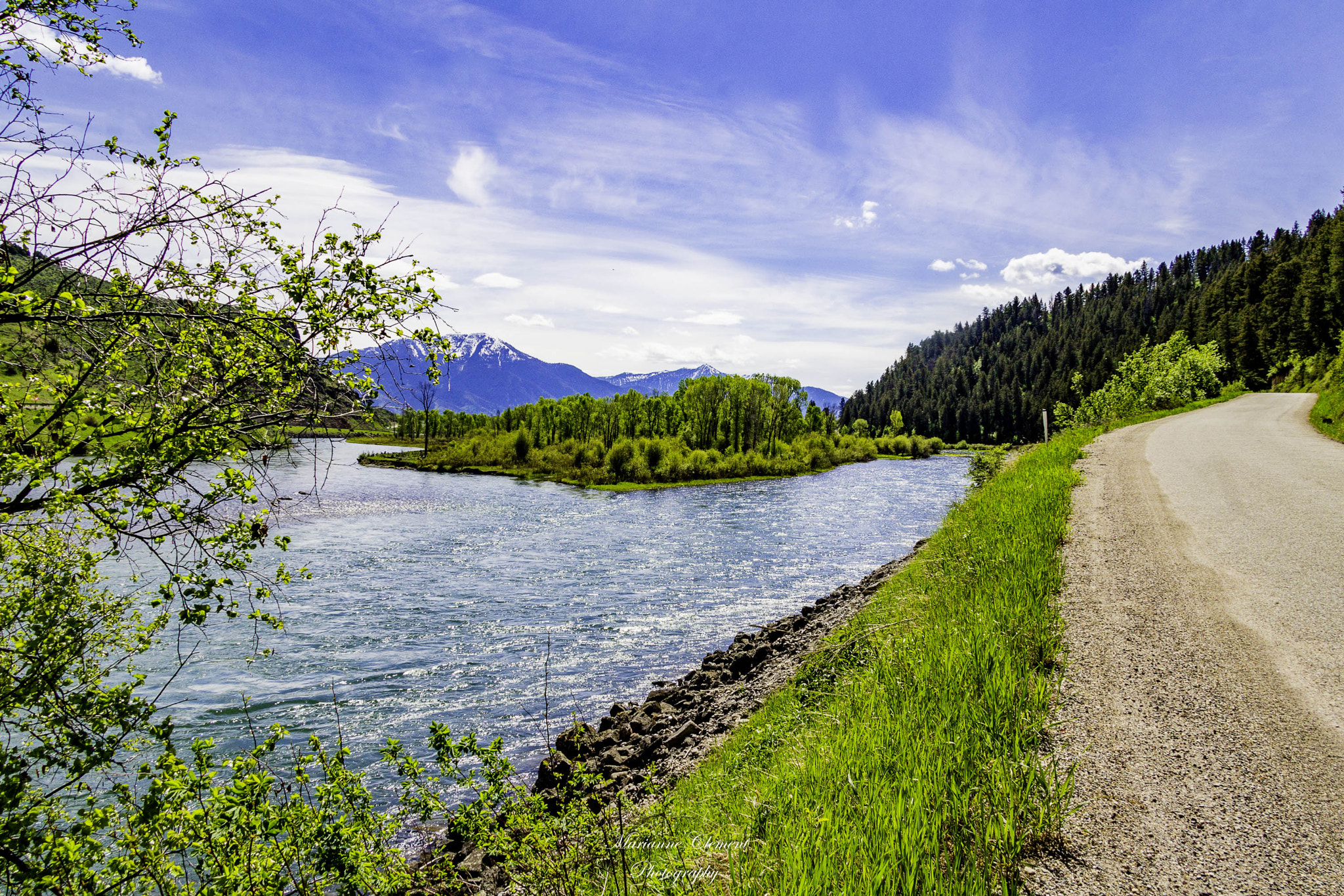 Canon EF-S 17-85mm F4-5.6 IS USM sample photo. Swan valley idaho photography