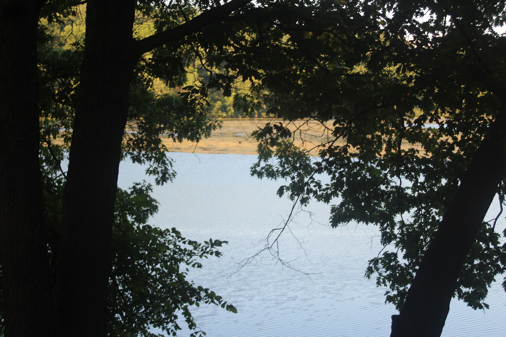 Canon EF 35-80mm f/4-5.6 sample photo. Gazing upon a river photography