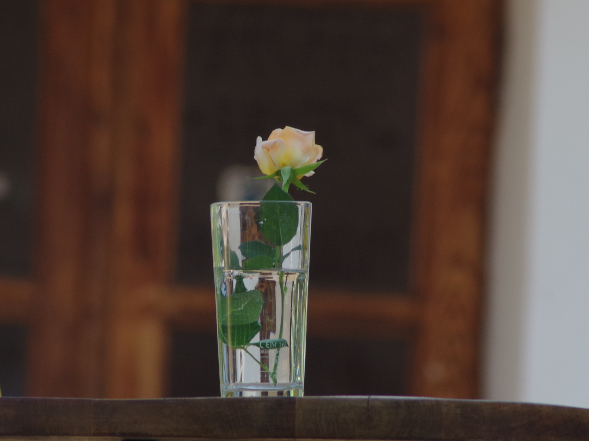 Tamron AF 70-300mm F4-5.6 Di LD Macro sample photo