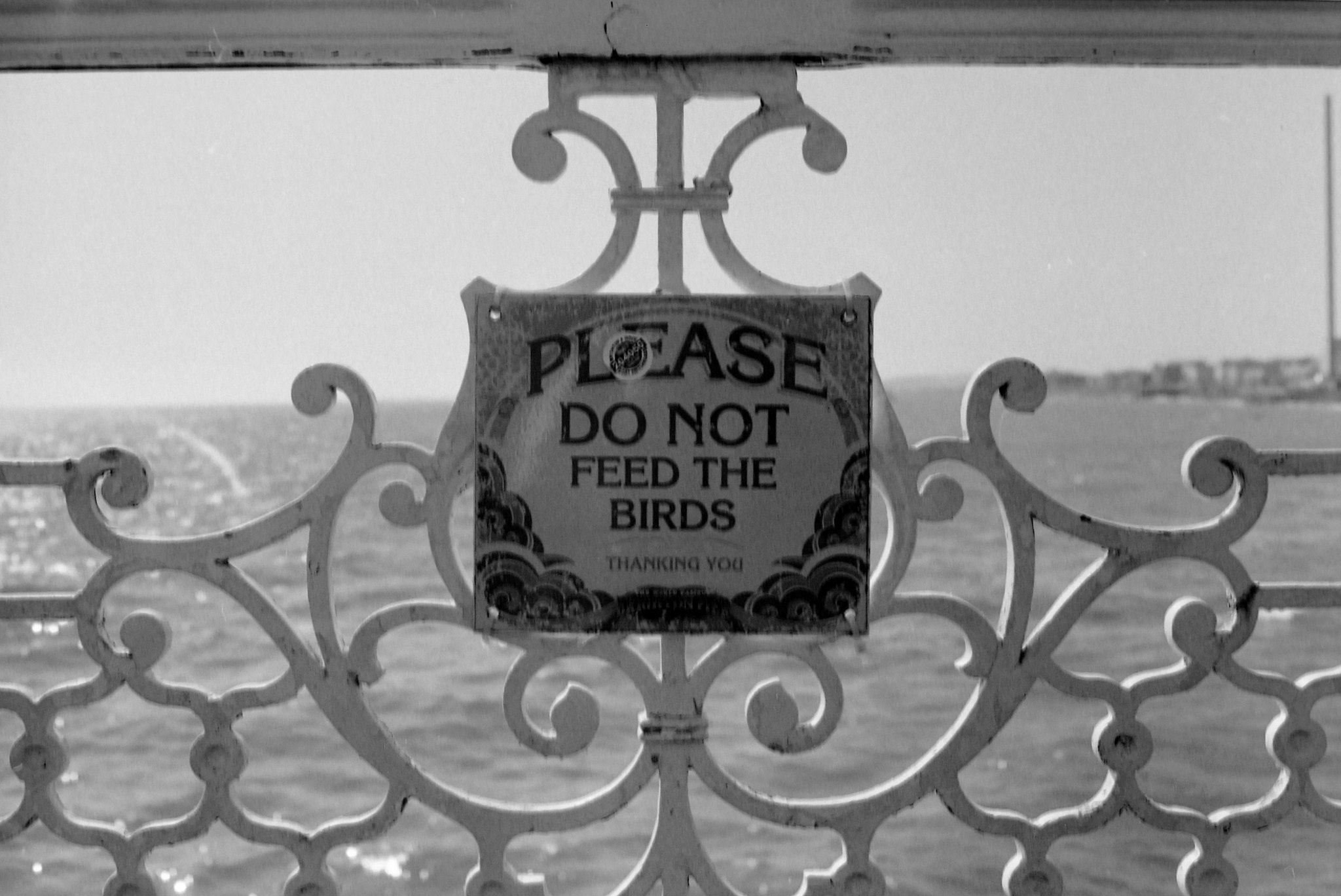 Tamron SP AF 60mm F2 Di II LD IF Macro sample photo. Brighton pier photography
