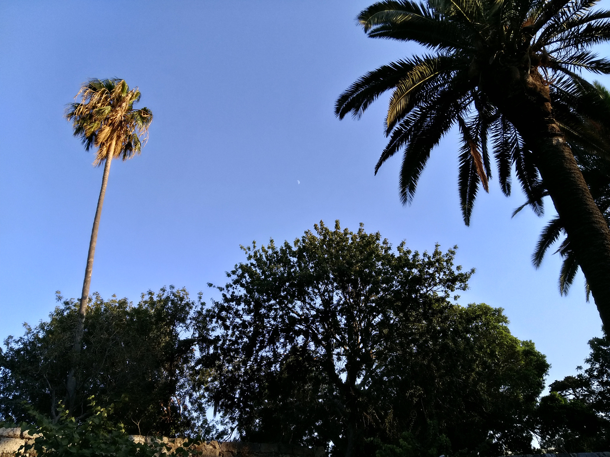 Letv Le 1 Pro sample photo