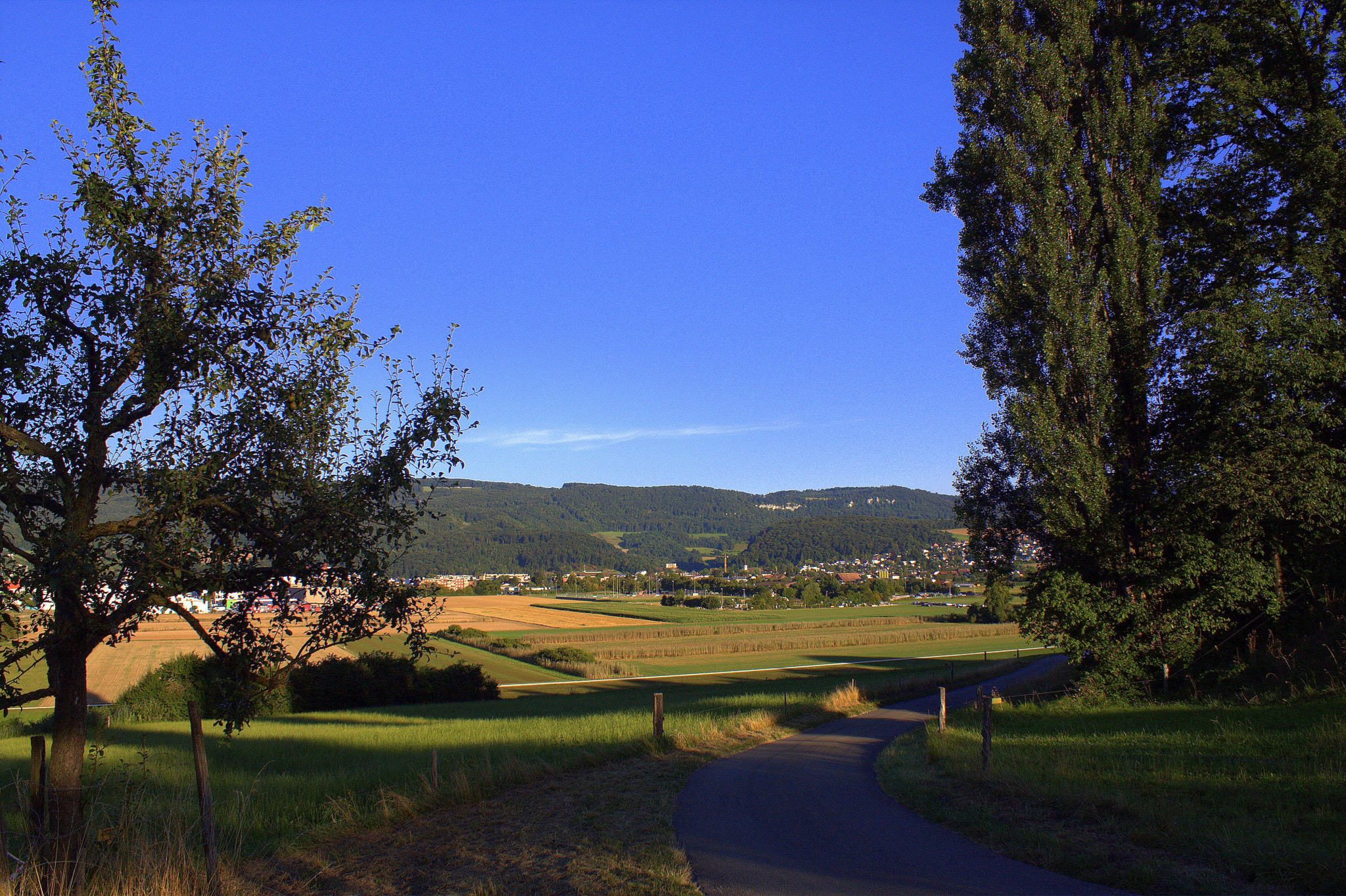 Canon EOS 40D sample photo. Landscape aesch schweiz photography