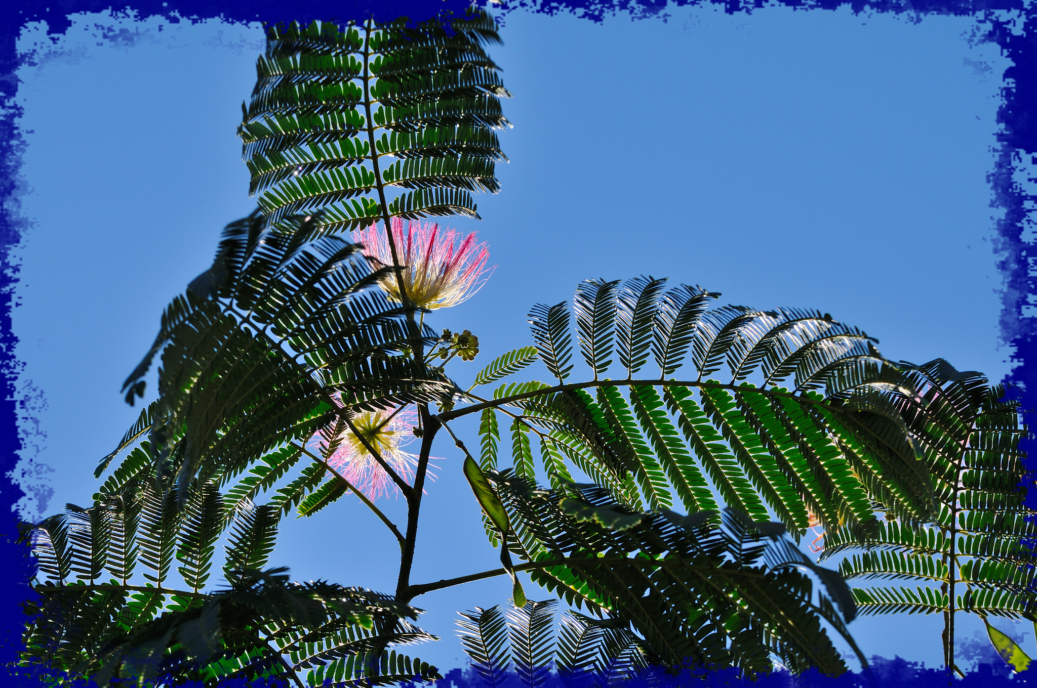 Nikon D300S sample photo. _mer3886.jpg photography