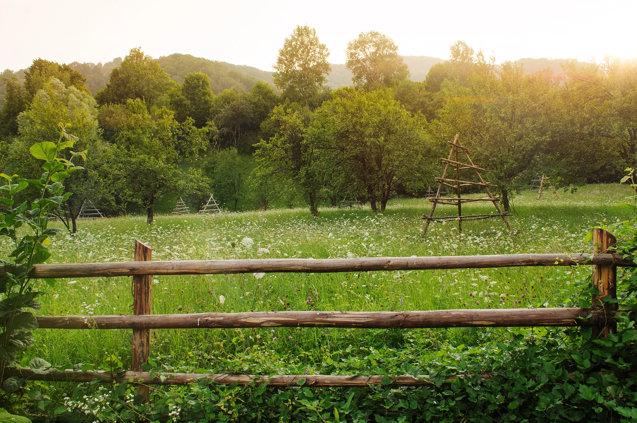 Nikon D300 + Sigma 18-50mm F2.8-4.5 DC OS HSM sample photo. Orchard sunset.jpg photography