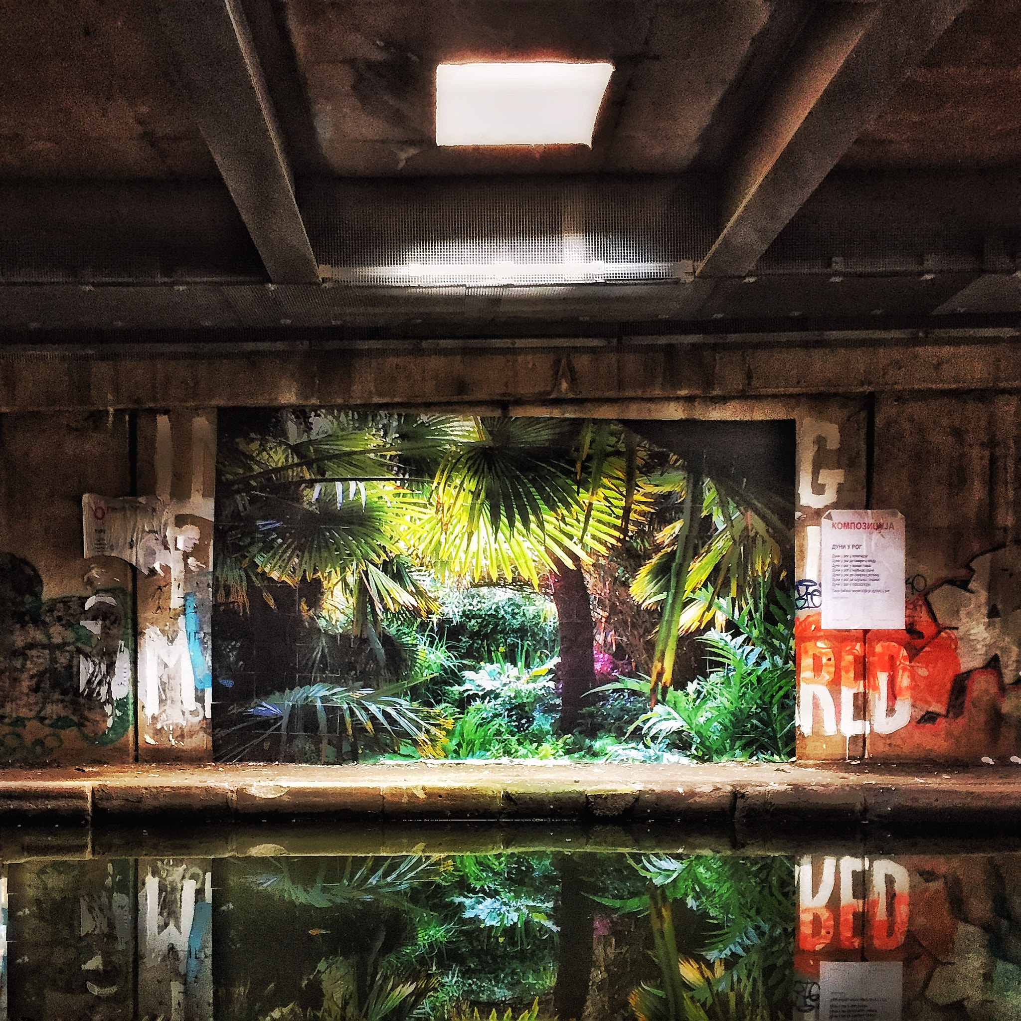 Jag.gr 645 PRO Mk III for Apple iPhone 6 sample photo. Urban paradise under #spaghettijunction #birmingham photography
