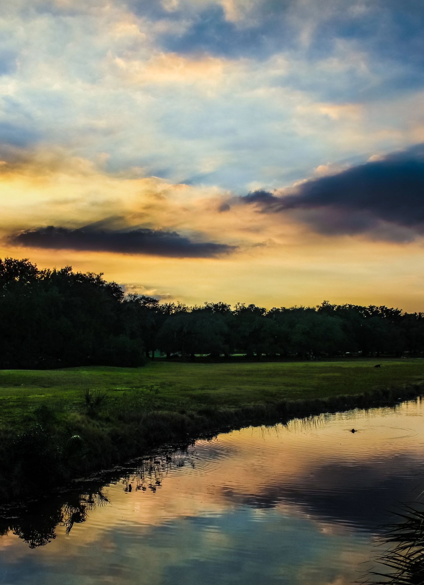 Canon EF-S 18-55mm F3.5-5.6 II sample photo. Dusk closing into the park photography