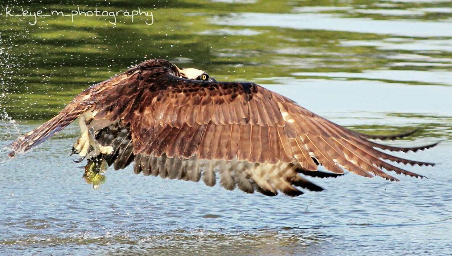 Canon EOS 1200D (EOS Rebel T5 / EOS Kiss X70 / EOS Hi) + Canon EF 400mm F5.6L USM sample photo. Osprey catching a meal photography