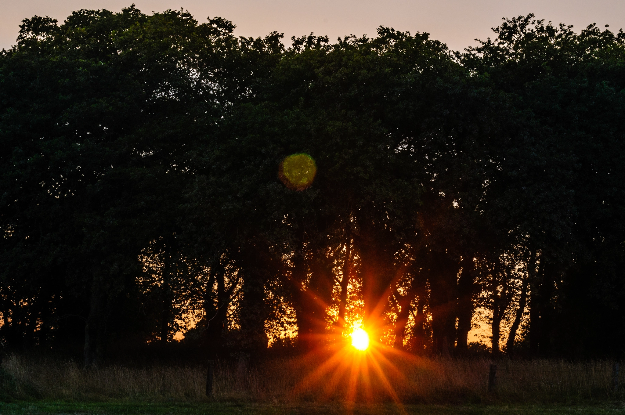 Nikon D300 + Nikon AF-S Nikkor 50mm F1.4G sample photo. Atardeceres  photography