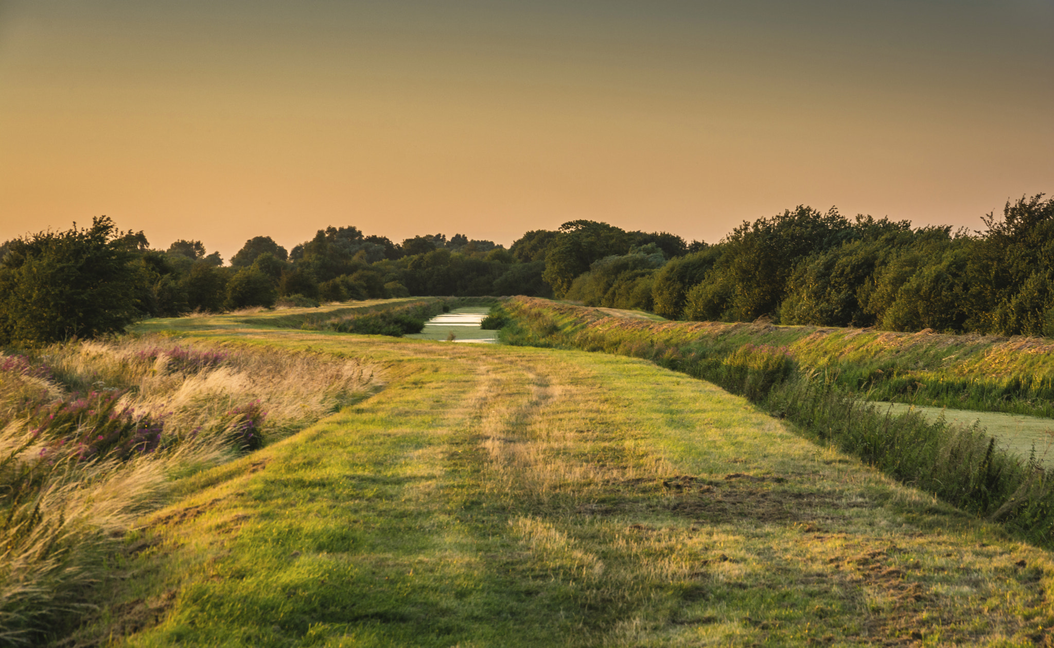 Nikon D7100 + Sigma 18-200mm F3.5-6.3 DC sample photo. Fenland drain photography