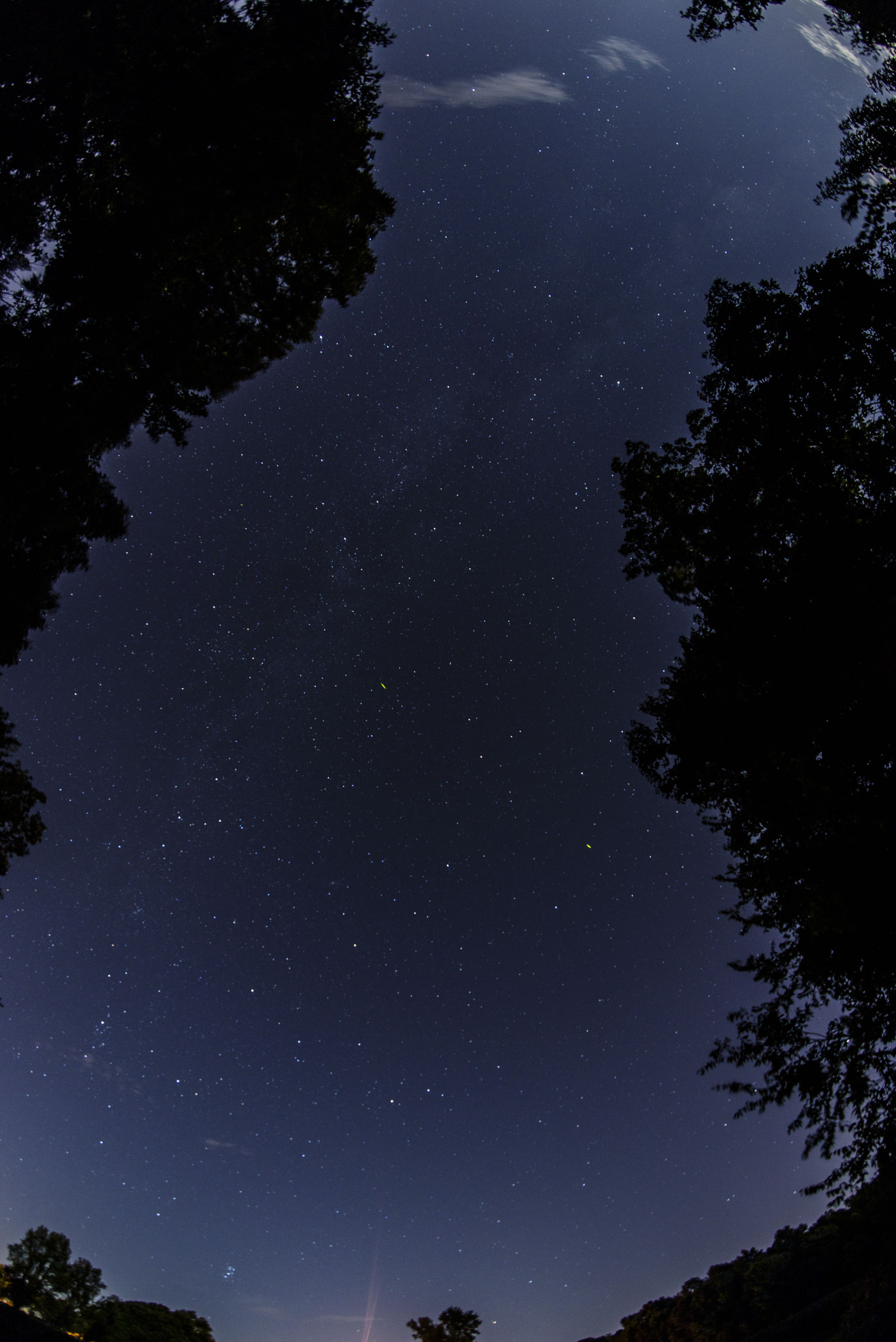 Nikon D750 + Samyang 12mm F2.8 ED AS NCS Fisheye sample photo. Faint milky way photography