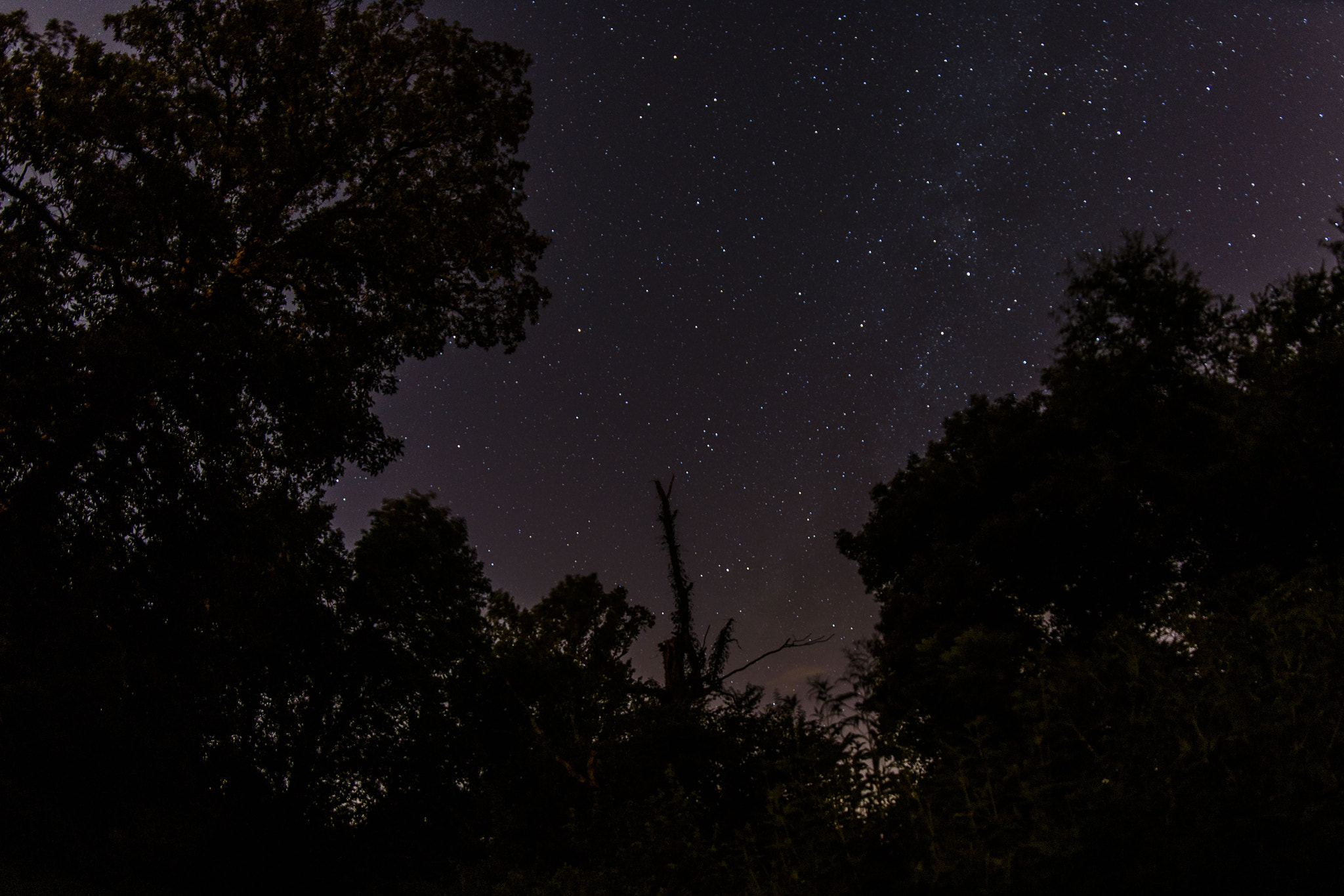 Samyang 12mm F2.8 ED AS NCS Fisheye sample photo. Starry night photography