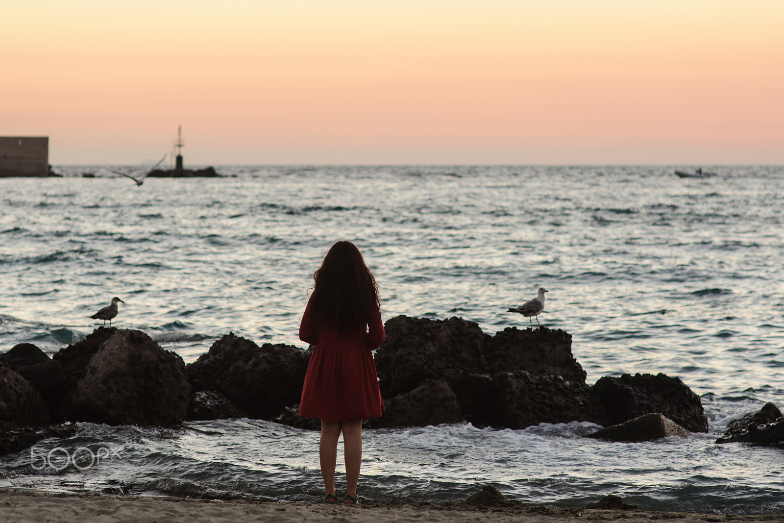 Nikon D90 + Sigma 85mm F1.4 EX DG HSM sample photo. Sunset photography