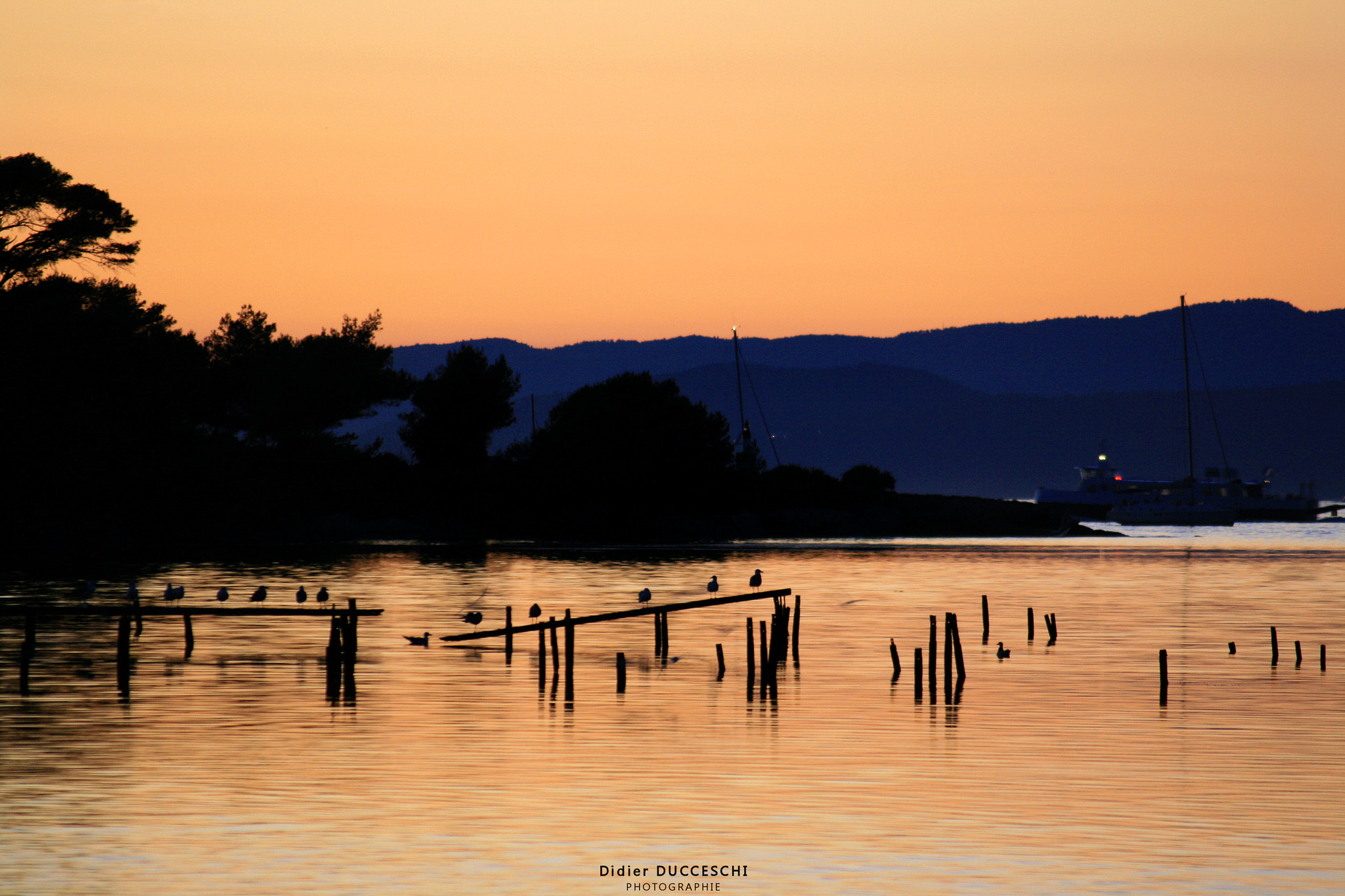 Sigma 55-200mm f/4-5.6 DC sample photo. The last gleam photography