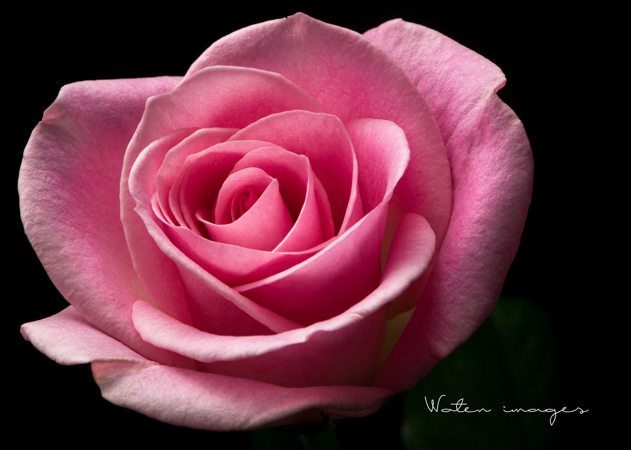 Nikon AF-S Micro-Nikkor 105mm F2.8G IF-ED VR sample photo
