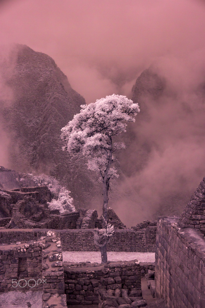 Canon EOS 50D + Canon EF-S 15-85mm F3.5-5.6 IS USM sample photo. Machu picchu in infrared photography