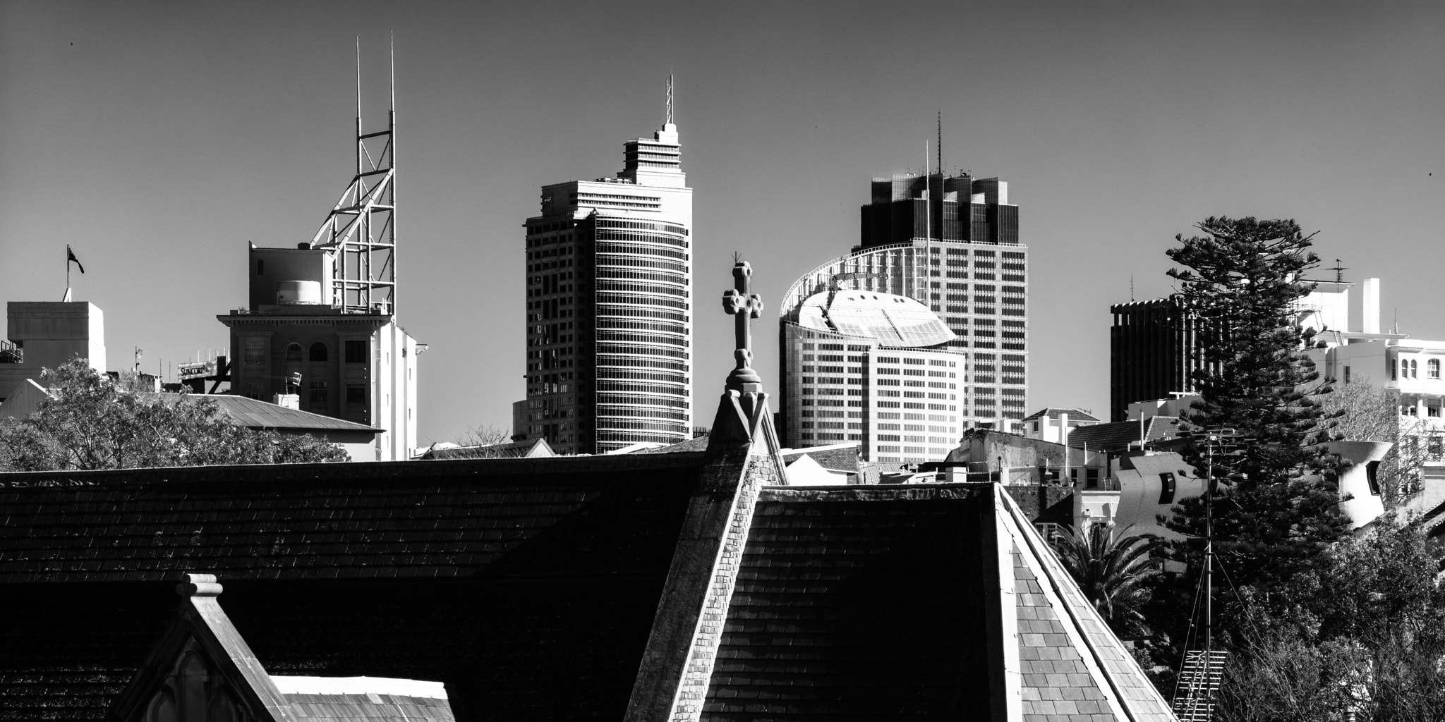 Leica APO-Telyt-M 135mm F3.4 ASPH sample photo. Another sydney sunday photography