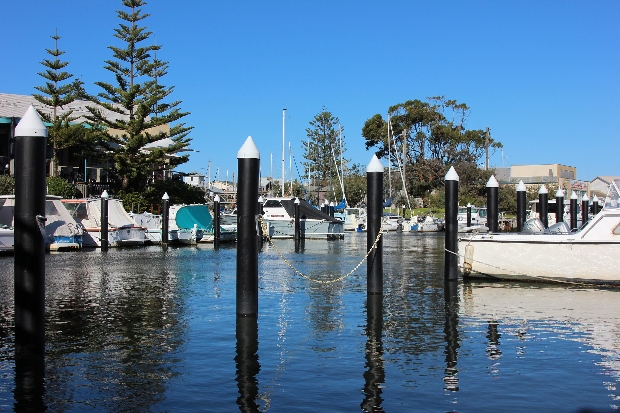 Canon EOS 600D (Rebel EOS T3i / EOS Kiss X5) sample photo. Mordialloc creek in the morning photography