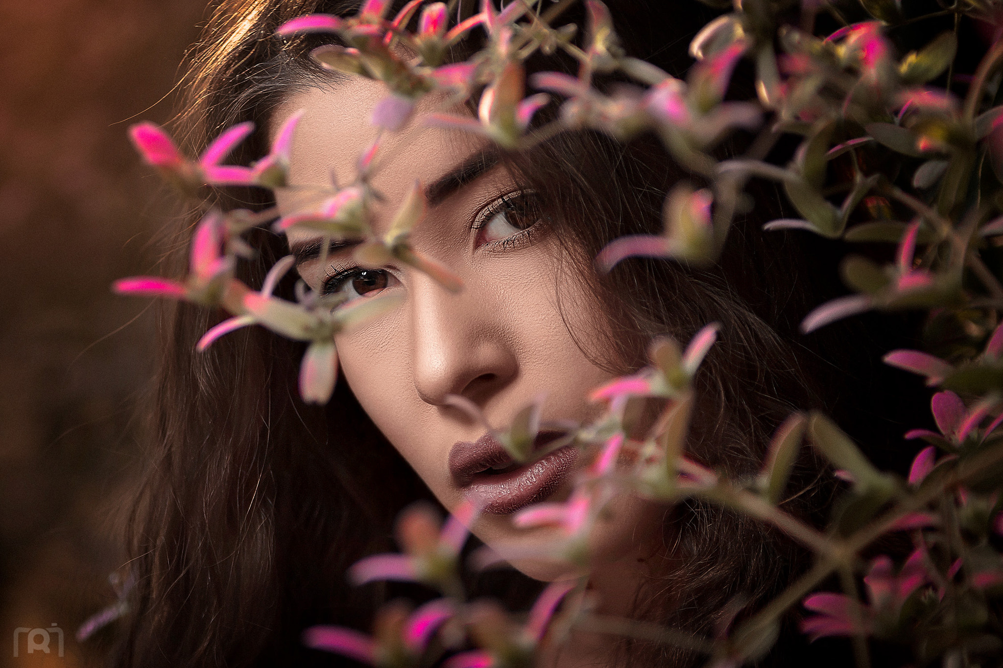 Sigma 70-200mm F2.8 EX DG OS HSM sample photo. In the flowers photography
