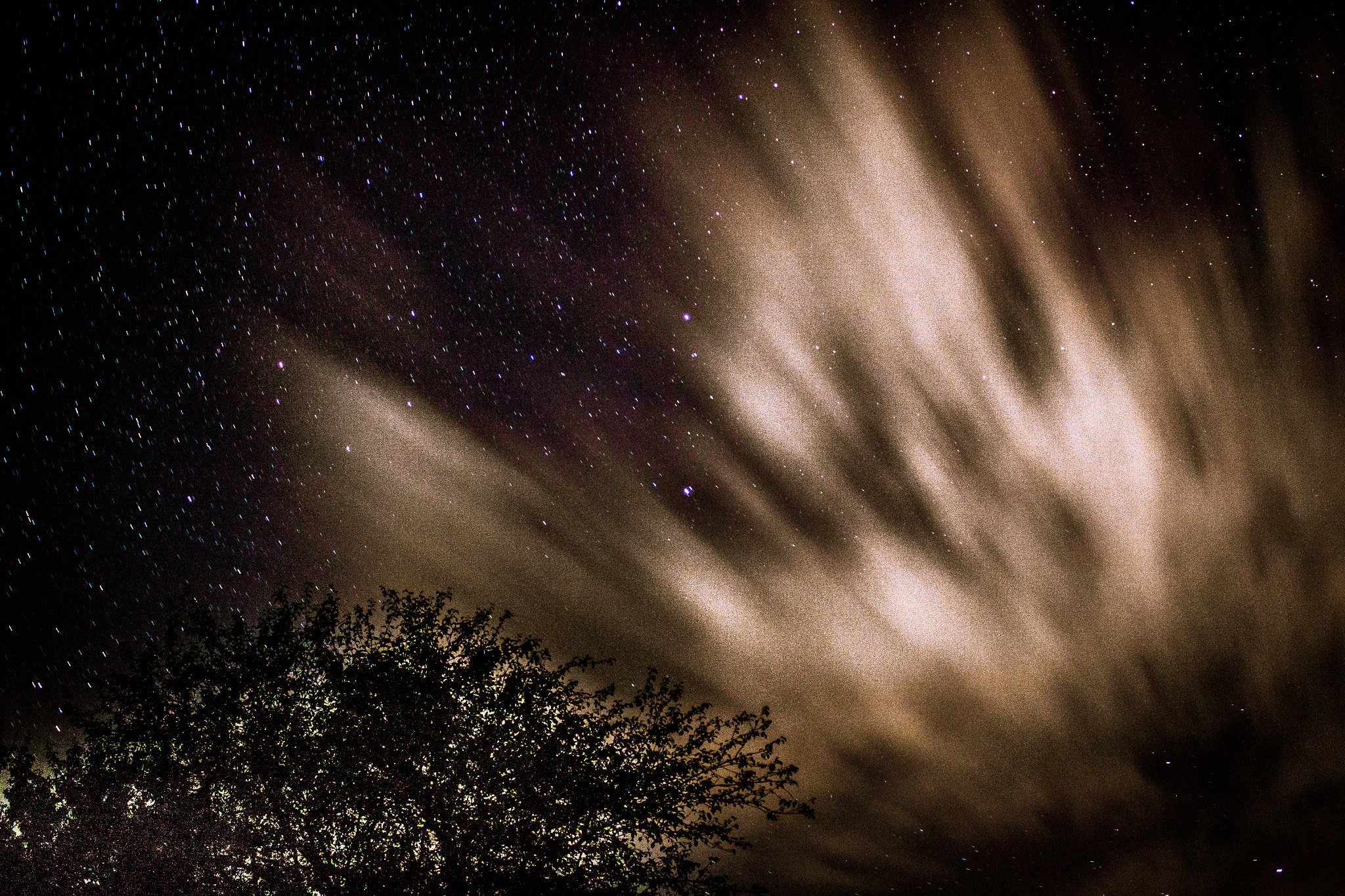 Canon EOS 50D sample photo. Nightsky photography
