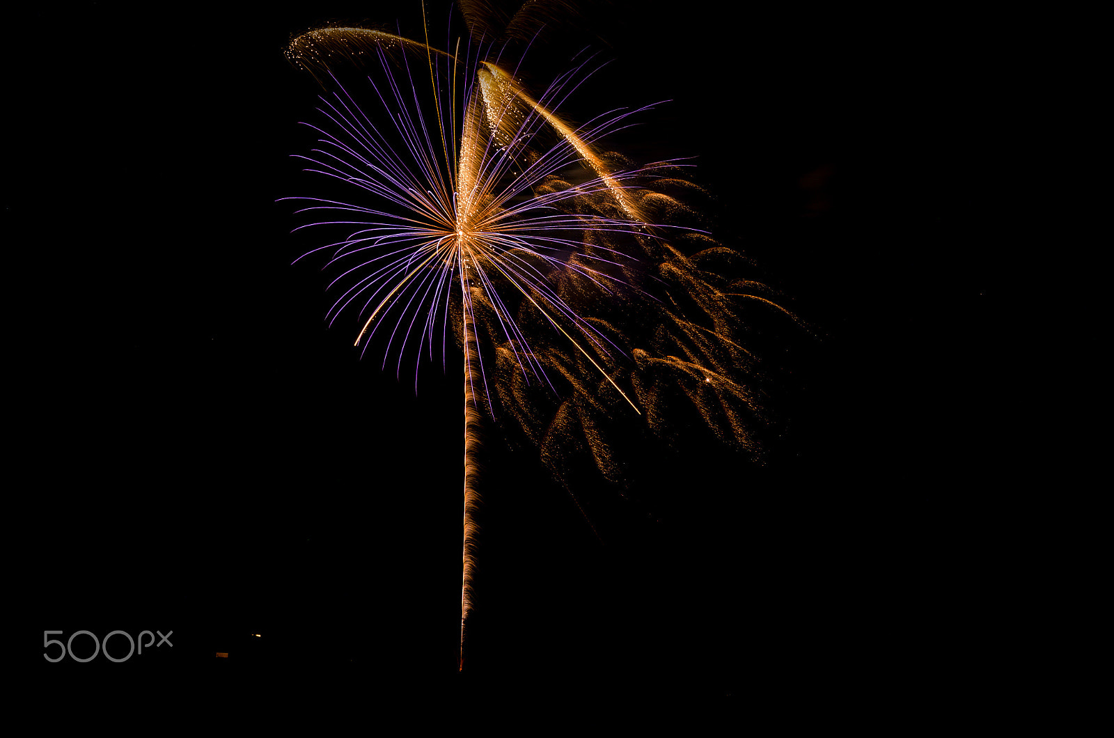 Sigma 17-70mm F2.8-4 DC Macro HSM | C sample photo. July42016-2 photography