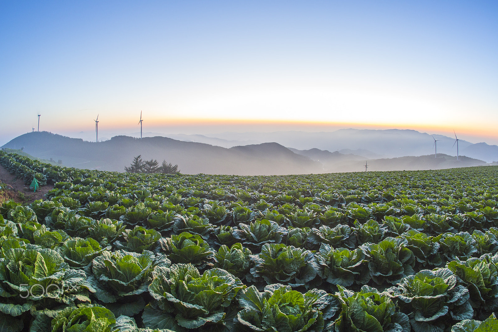 Canon EOS 6D + Canon EF 15mm F2.8 Fisheye sample photo. Dawn of maebongsan mountain highland photography