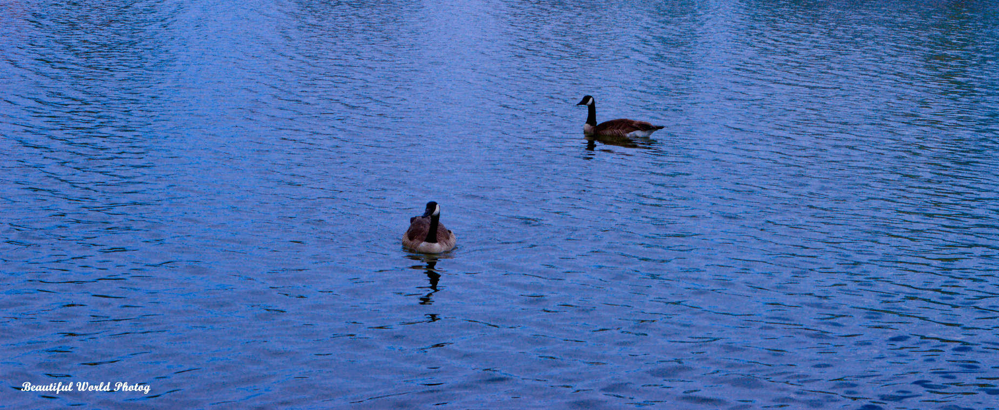 Sigma 18-250mm F3.5-6.3 DC OS HSM sample photo. Refuge () photography