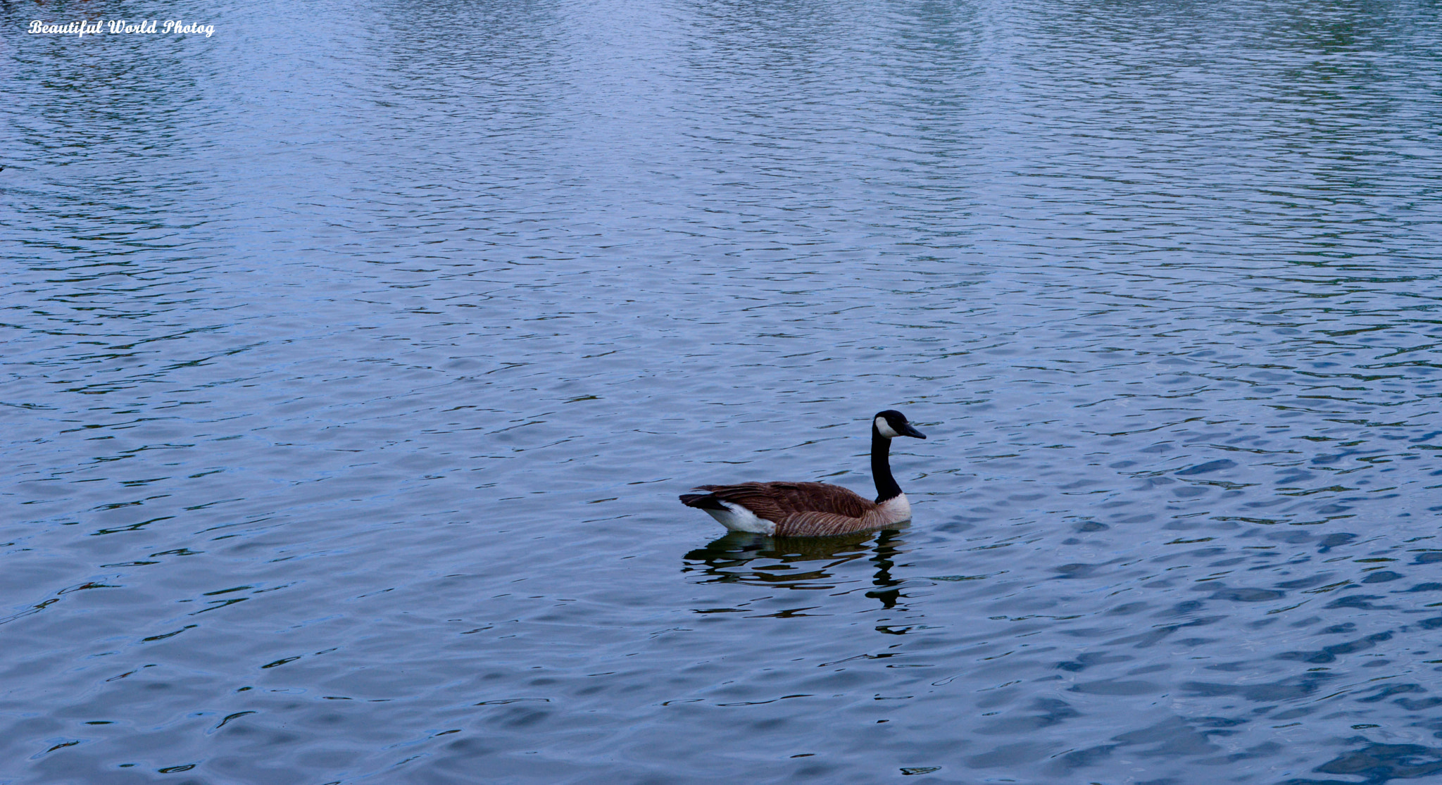 AF Zoom-Nikkor 24-120mm f/3.5-5.6D IF sample photo. Refuge () photography